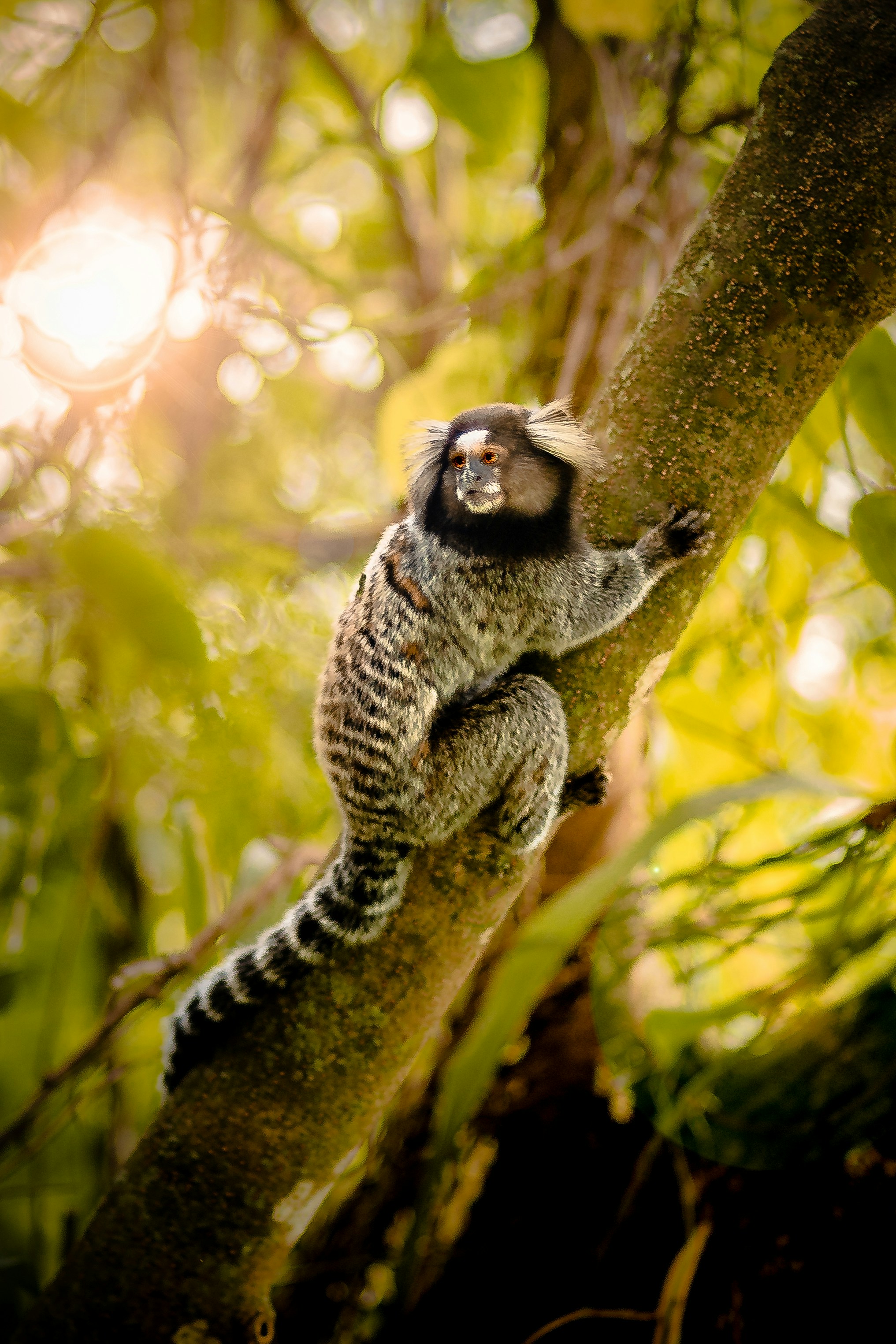 Photo by ferreiramarcos___