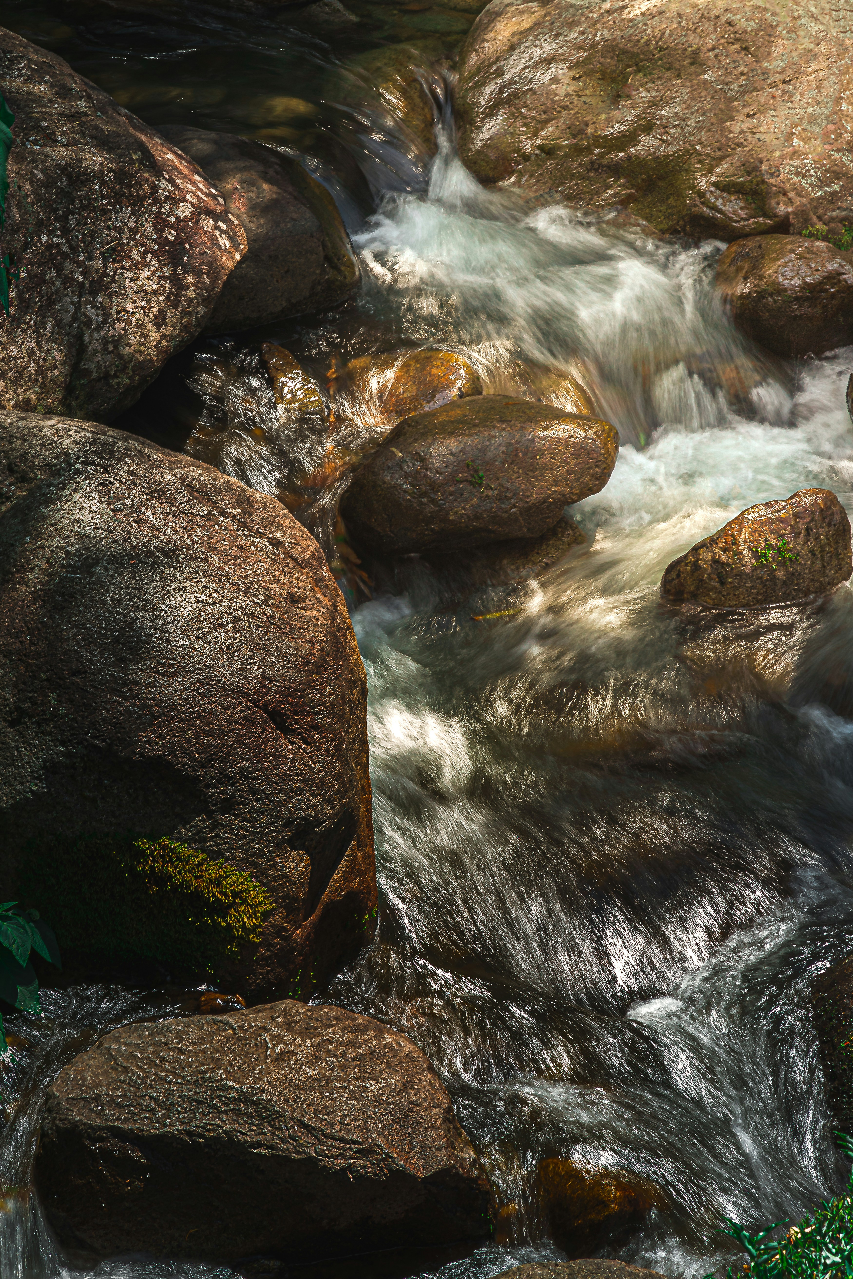 Photo by ferreiramarcos___