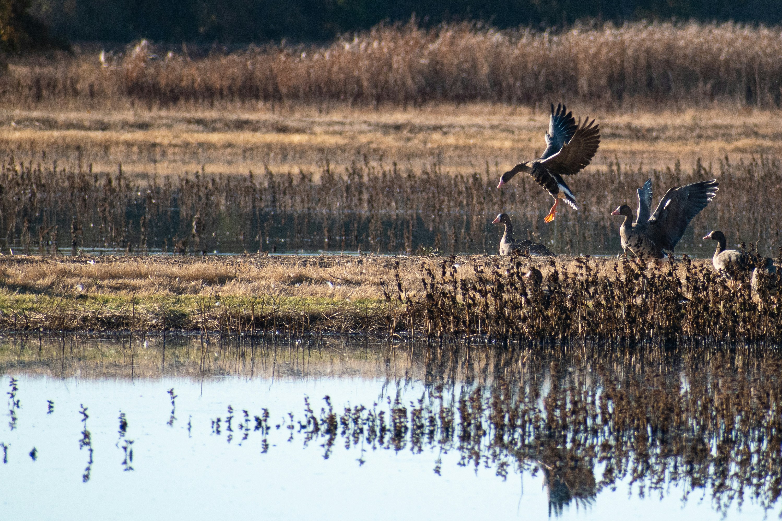 Photo by elisastonephotography