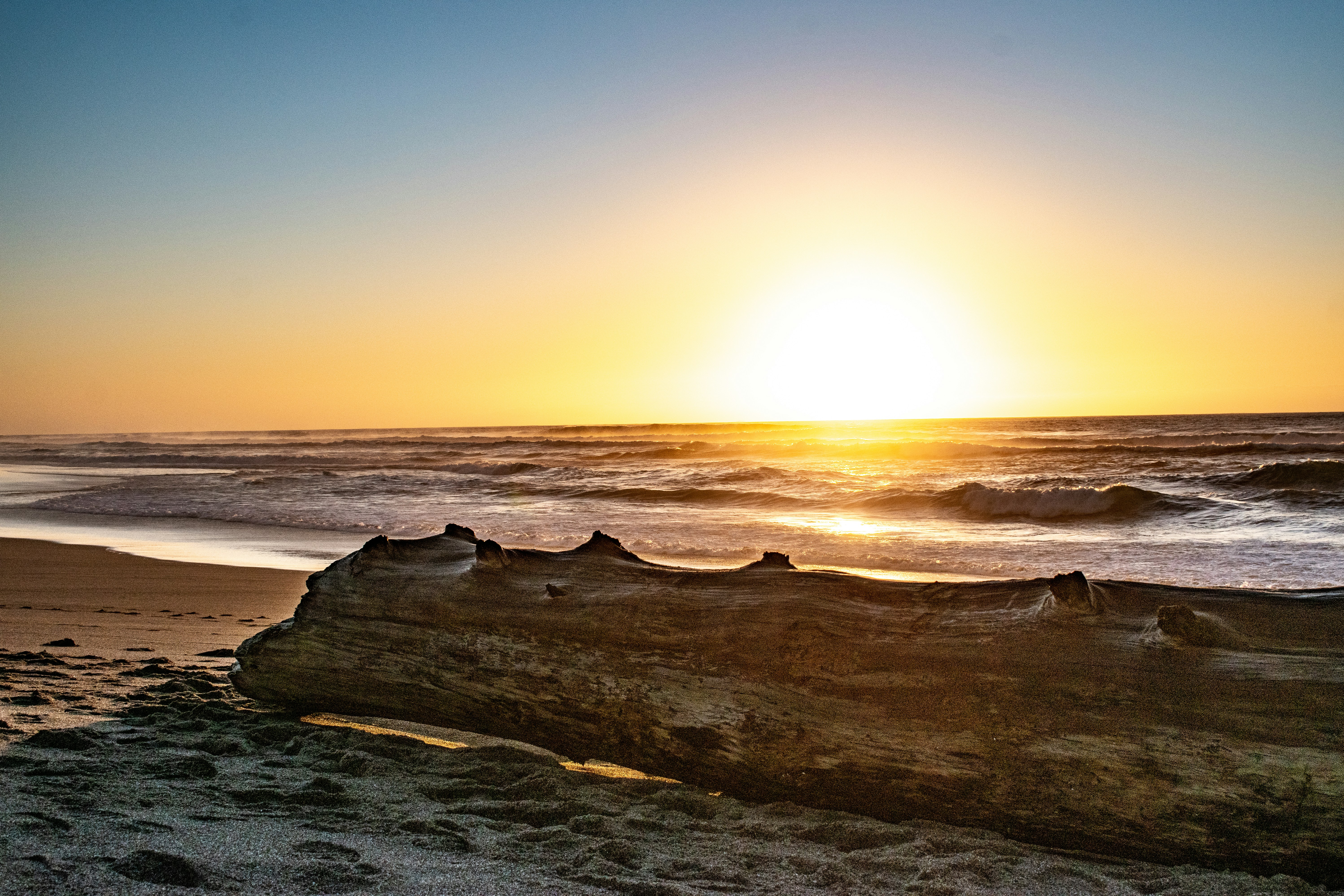 Photo by elisastonephotography