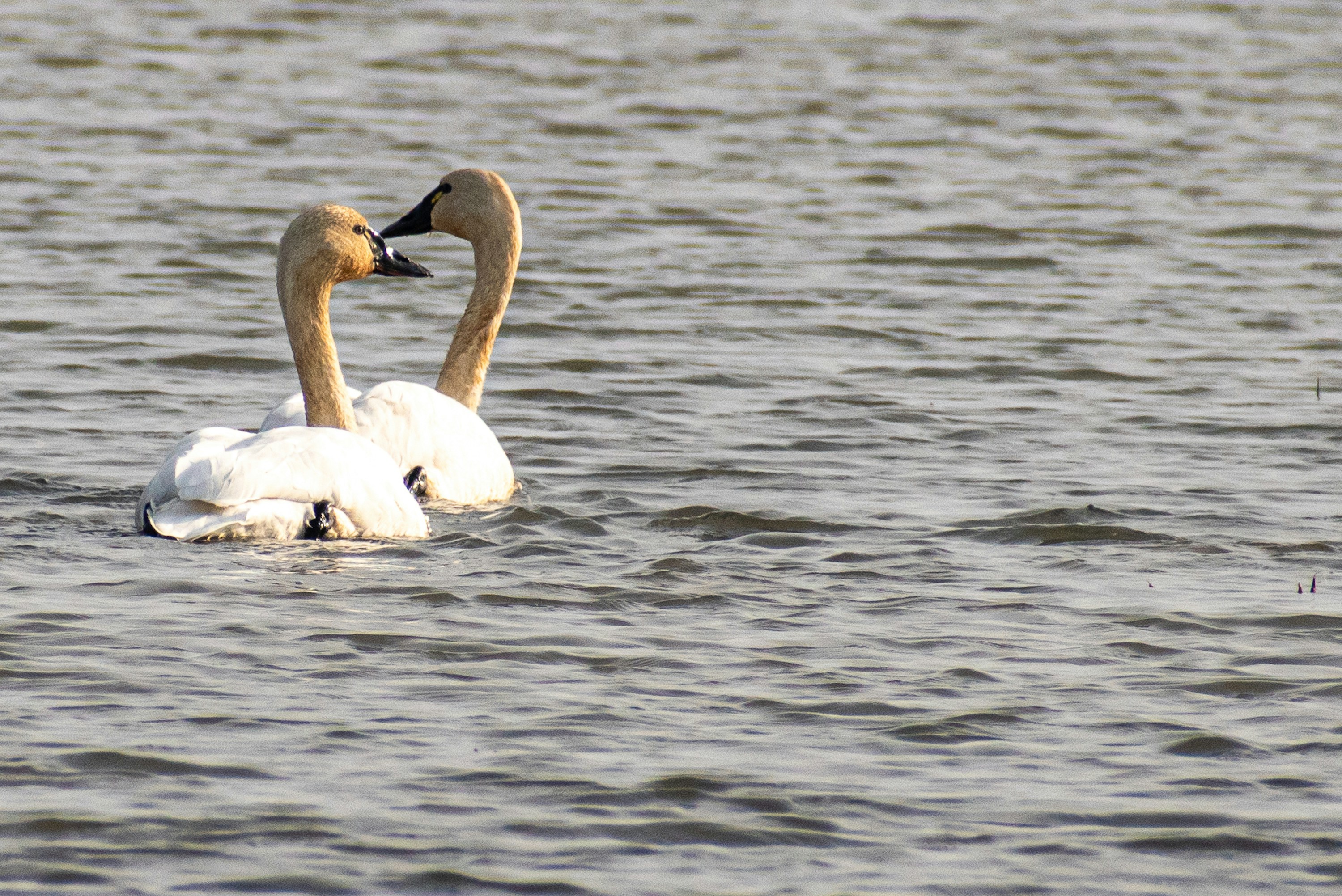 Photo by elisastonephotography