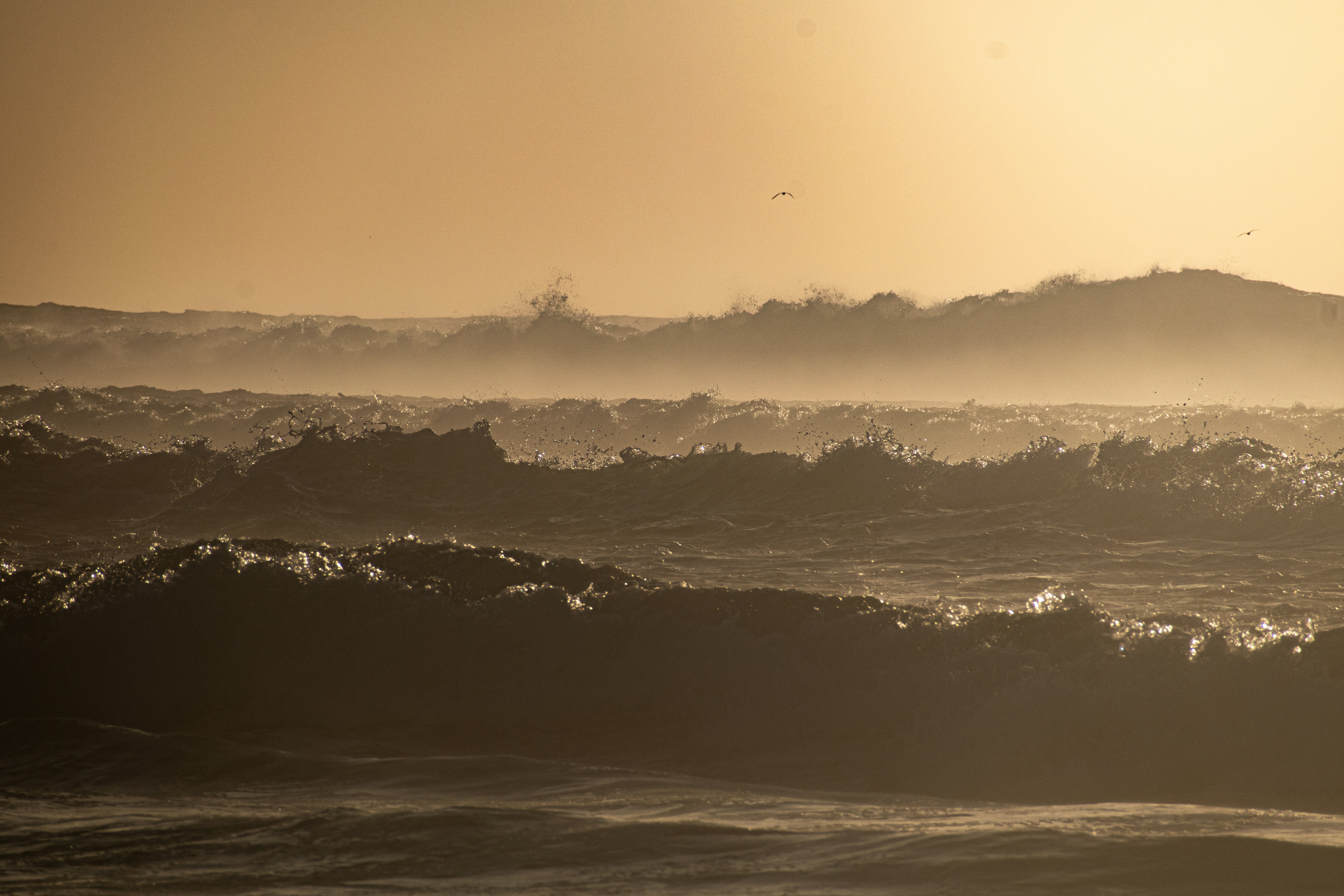 Photo by elisastonephotography