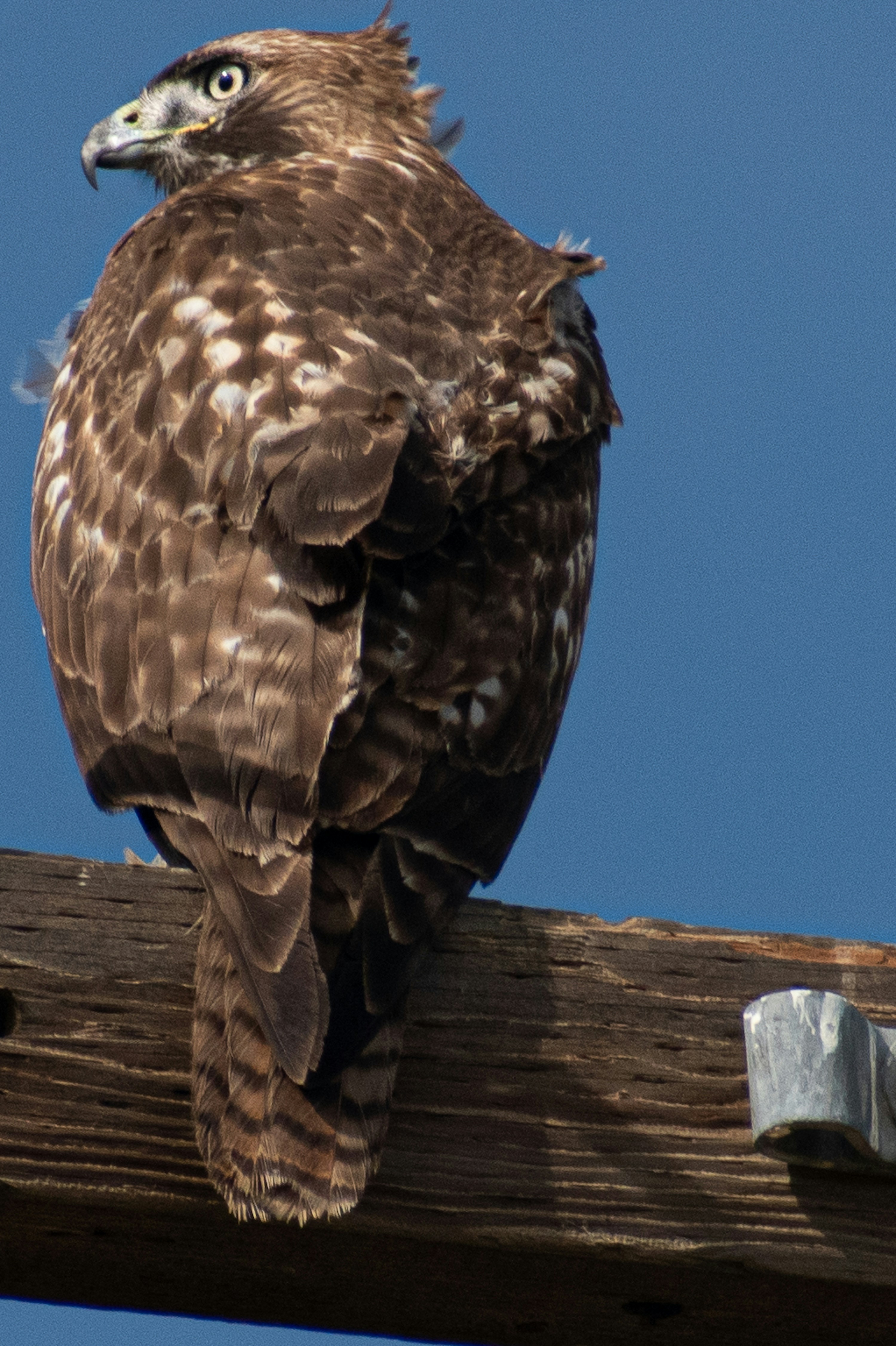 Photo by elisastonephotography