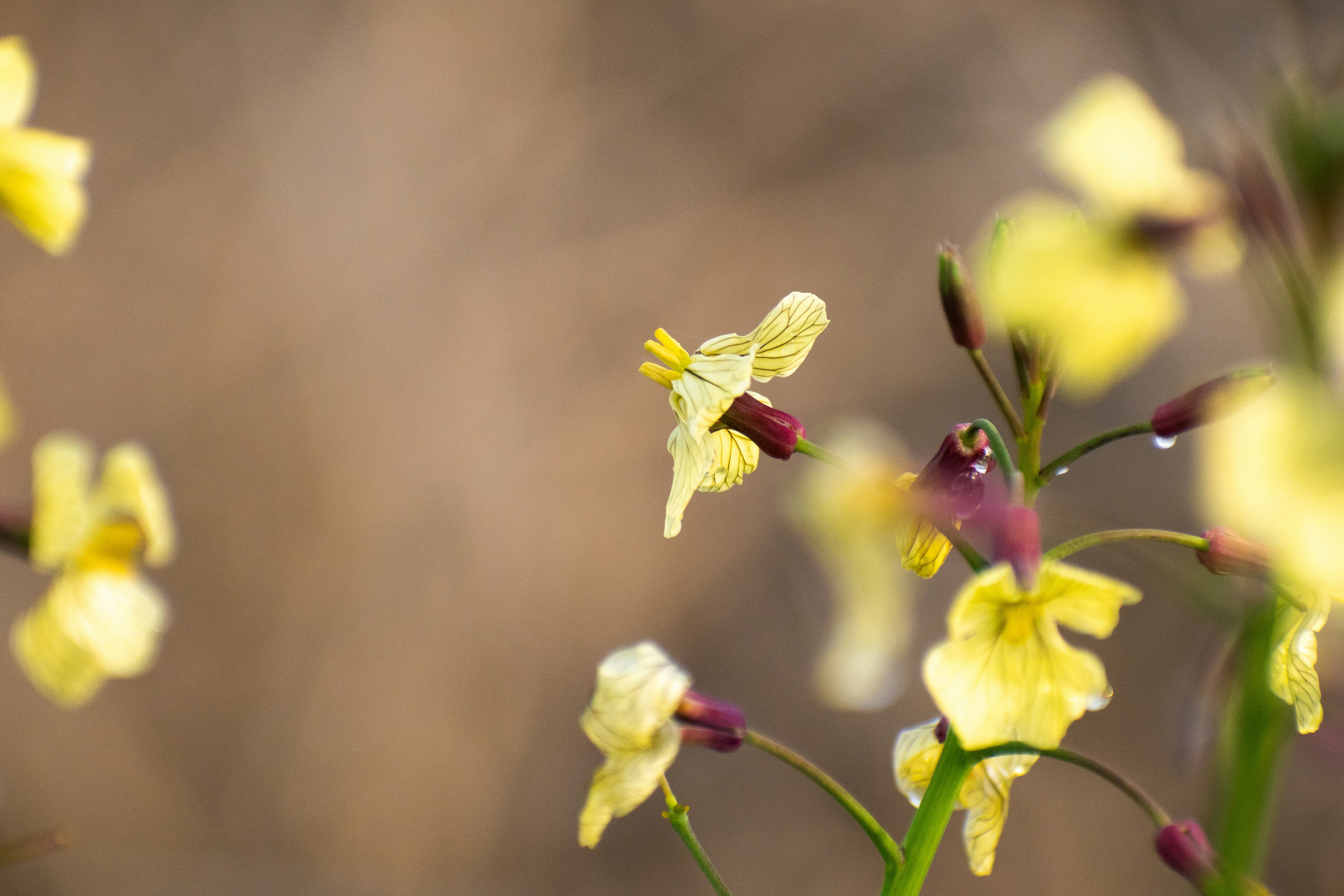 Photo by elisastonephotography