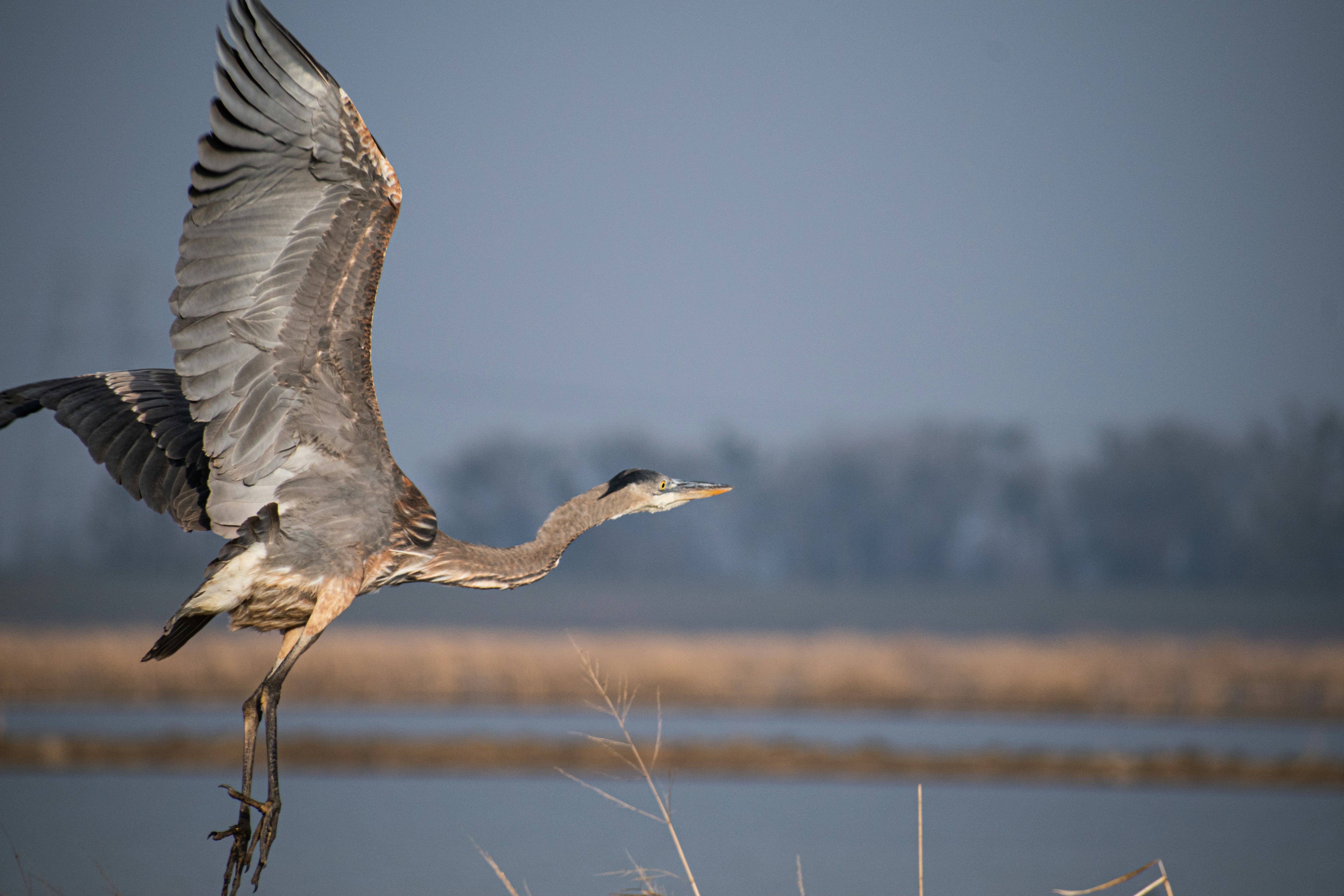 Photo by elisastonephotography