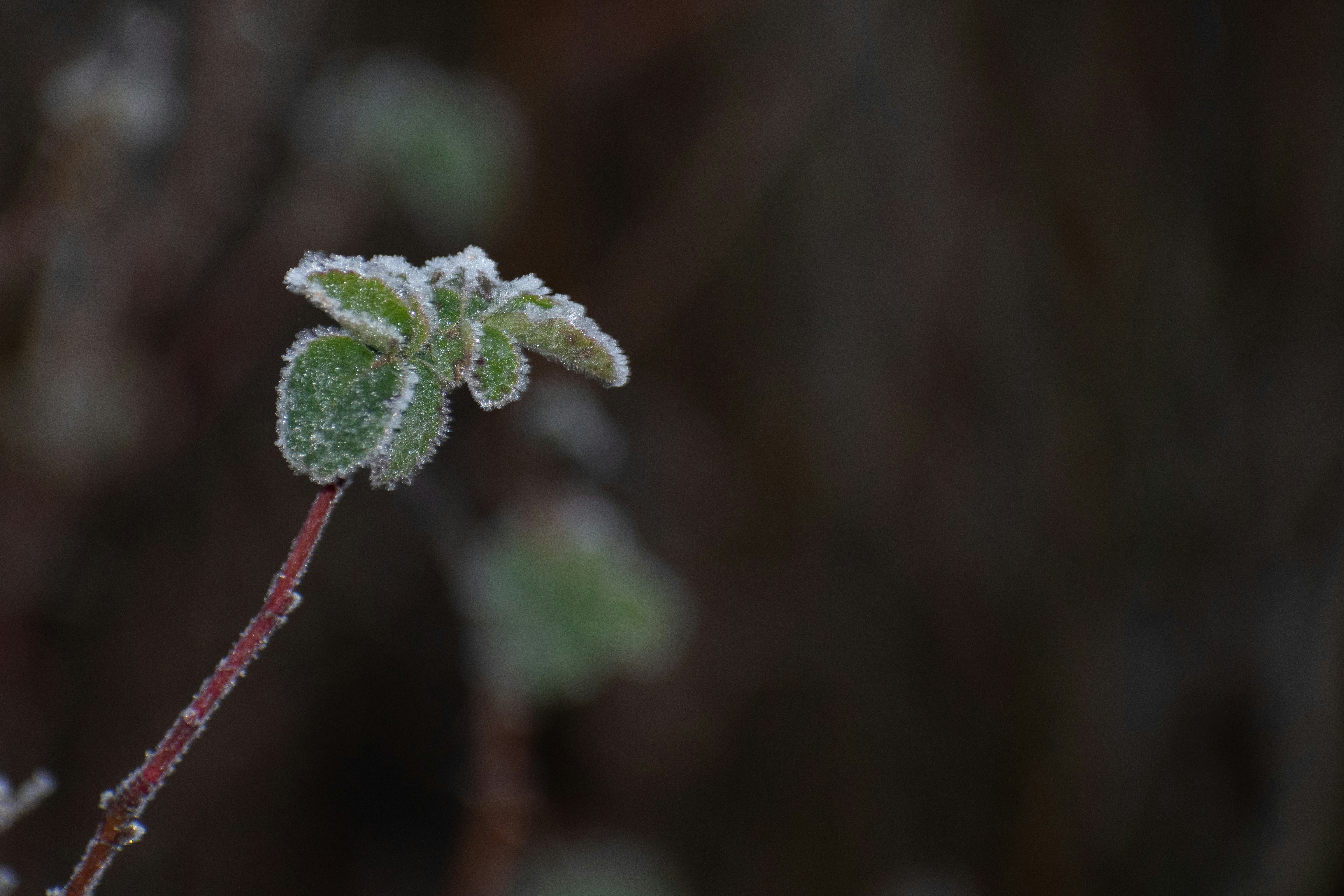 Photo by elisastonephotography