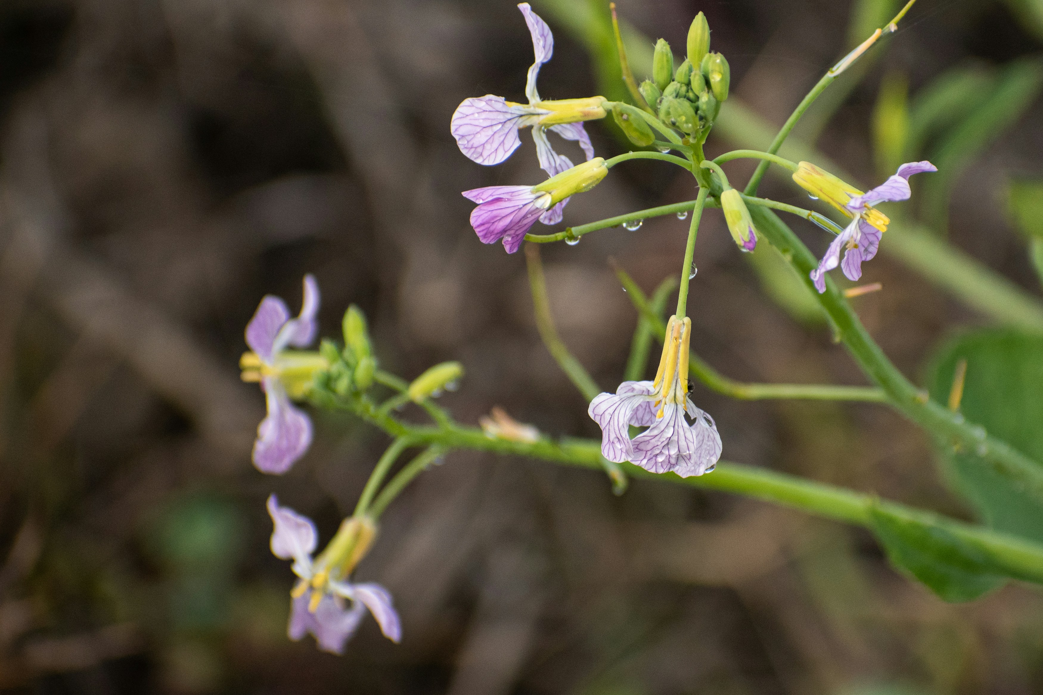 Photo by elisastonephotography