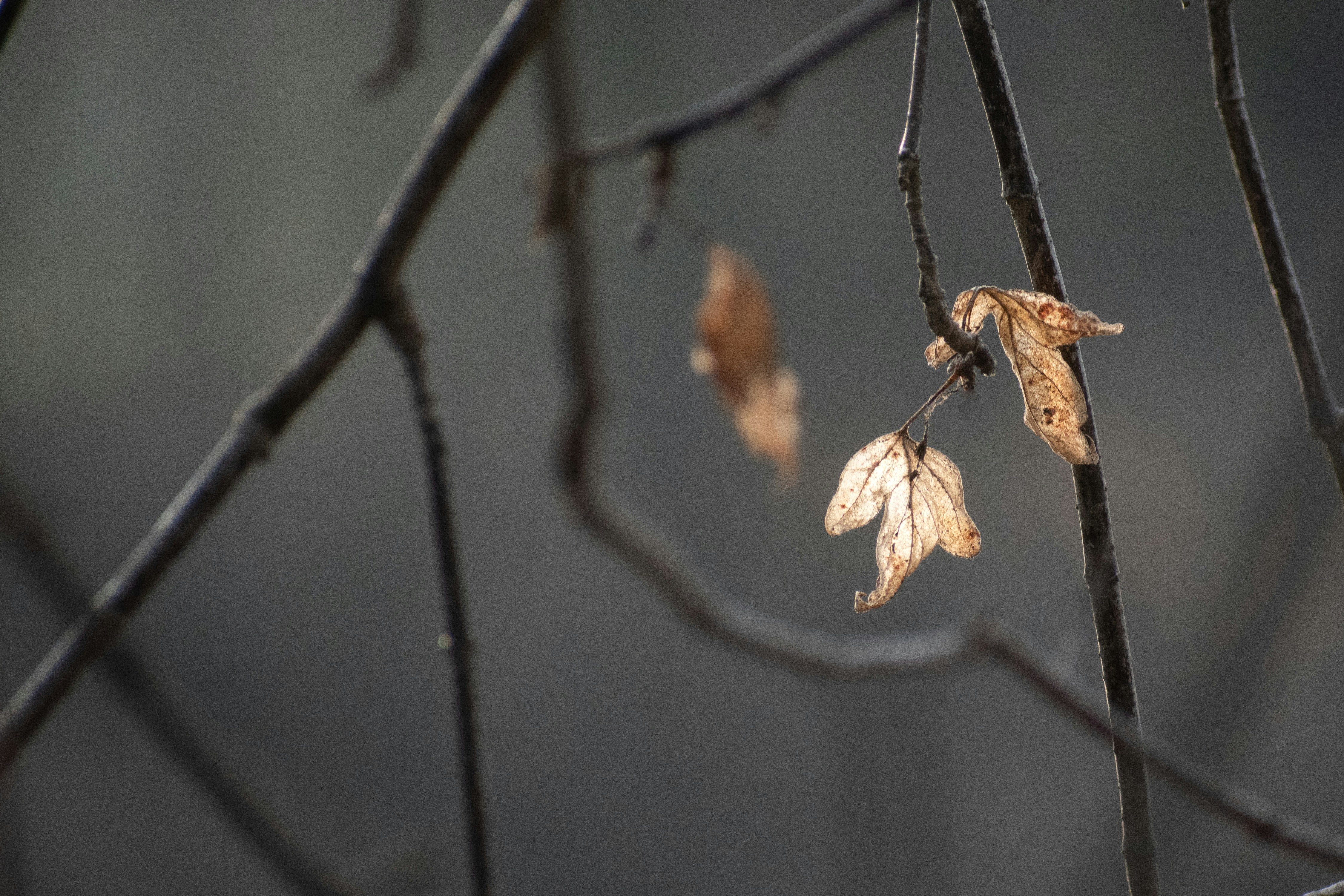 Photo by elisastonephotography