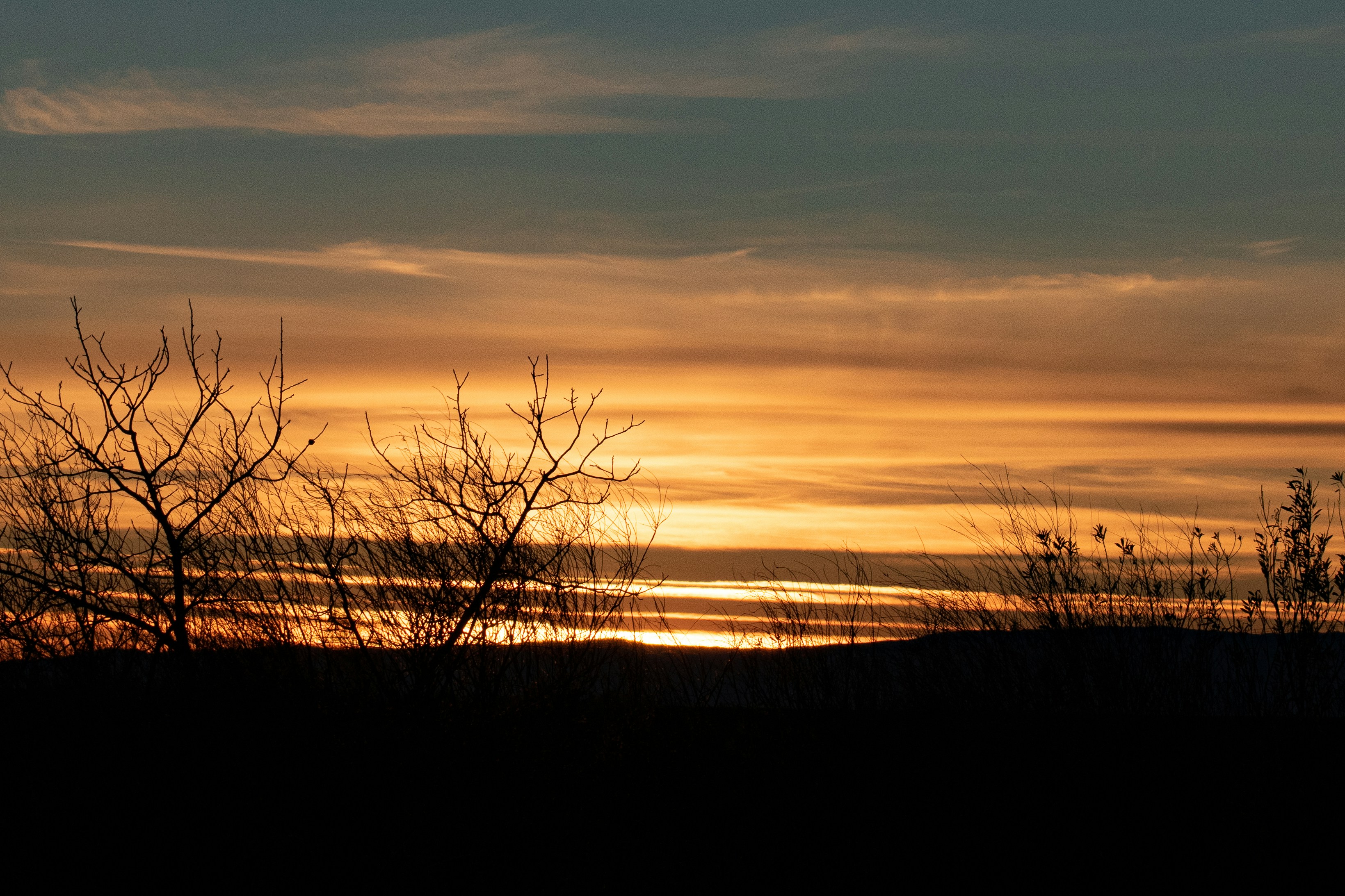 Photo by elisastonephotography