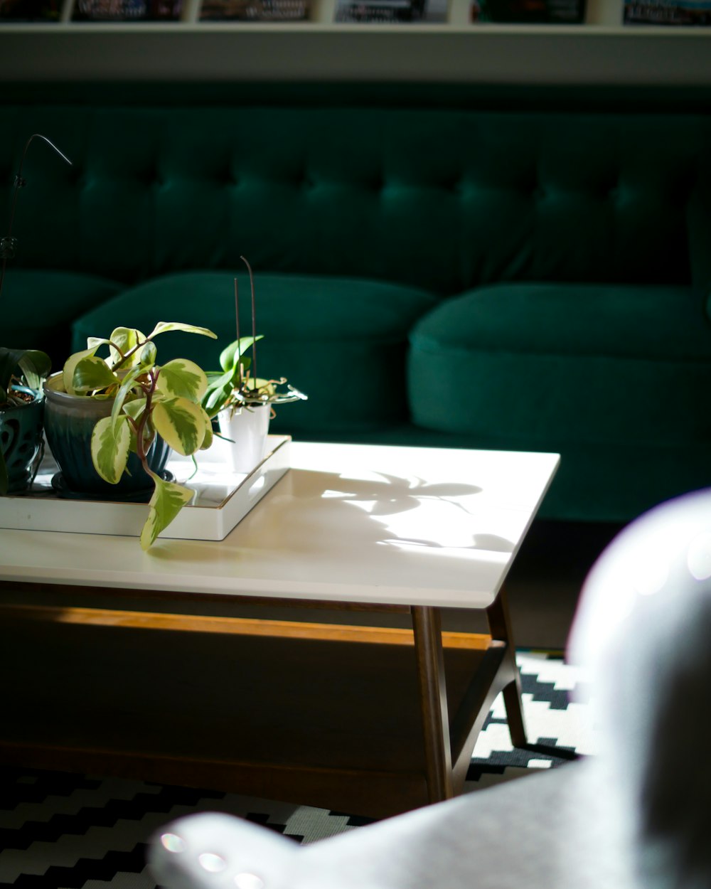 green plant on white table