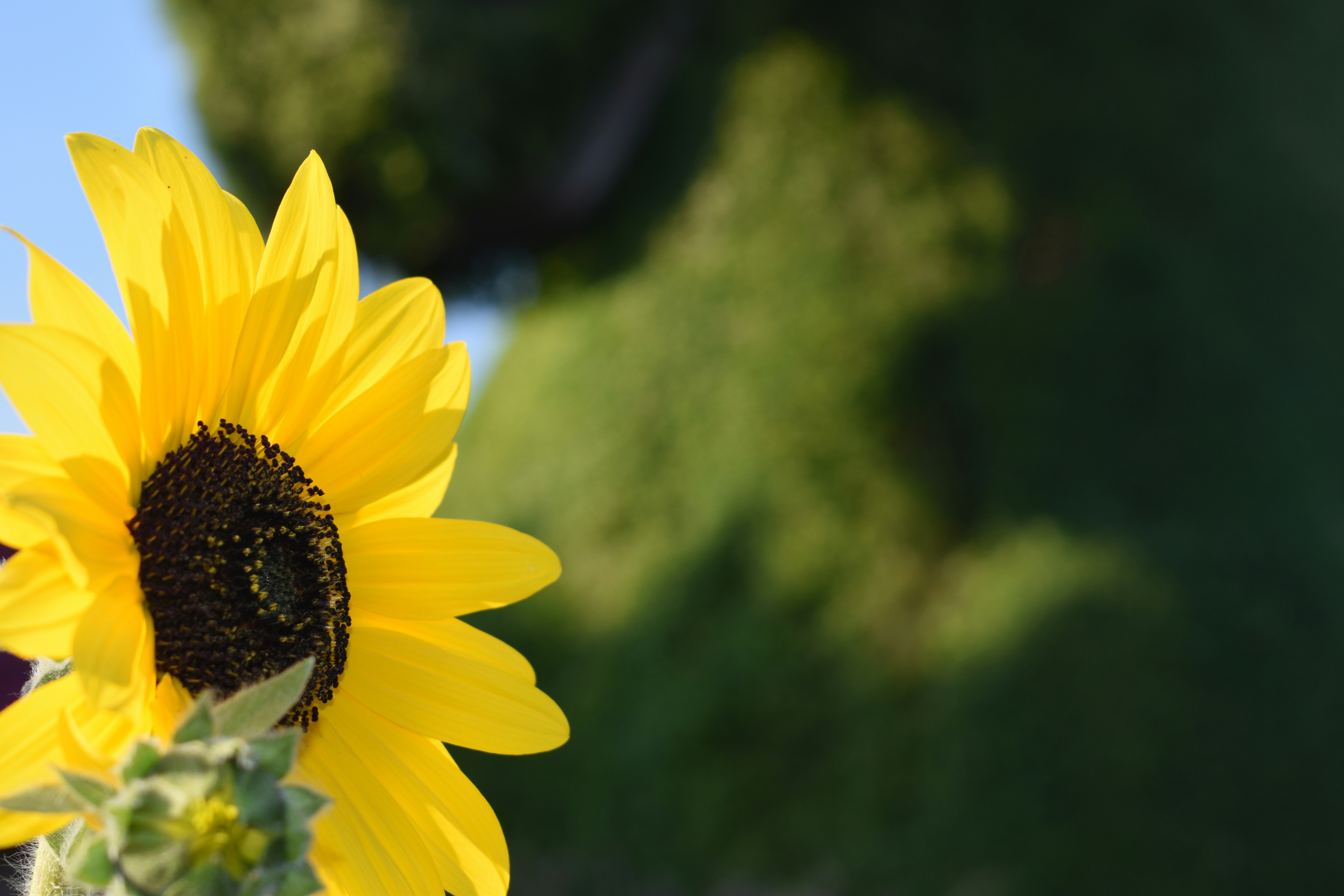 고향사랑기부제 답례품 순위 제주 관련 이미지2