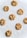 A collection of eight freshly baked cookies with chocolate chips, arranged in a random pattern on a crinkled white parchment paper. The cookies are golden brown with a soft texture and the chocolate chips are visibly embedded.