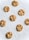 A collection of eight freshly baked cookies with chocolate chips, arranged in a random pattern on a crinkled white parchment paper. The cookies are golden brown with a soft texture and the chocolate chips are visibly embedded.