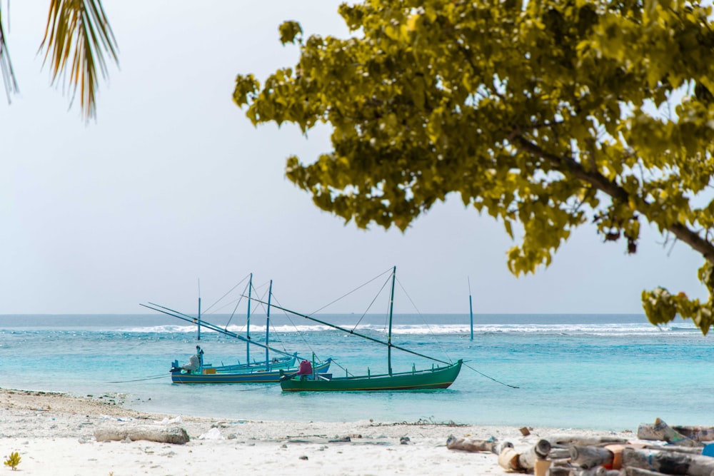 green boat on beach during daytime