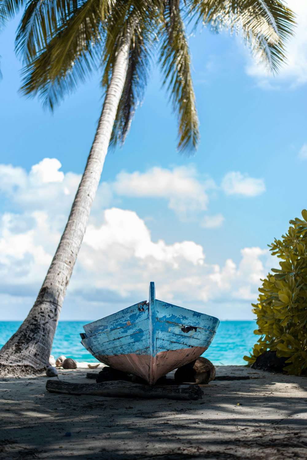 blue and brown boat on beach during daytime