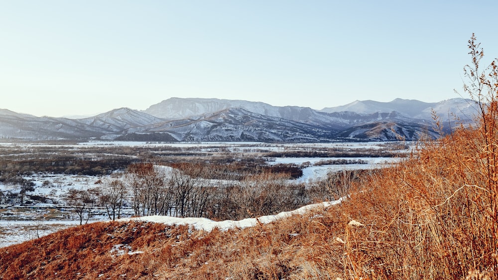 snow covered mountain near lake during daytime