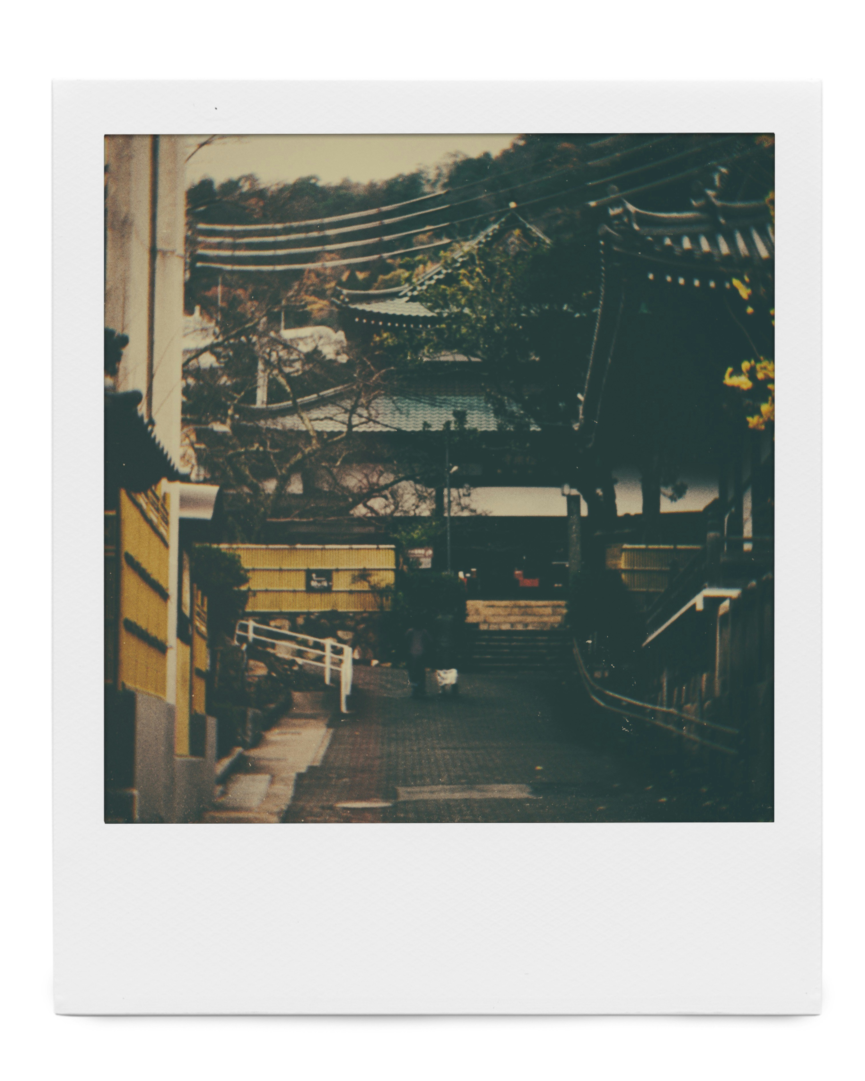 Tren blanco y negro en las vías del tren