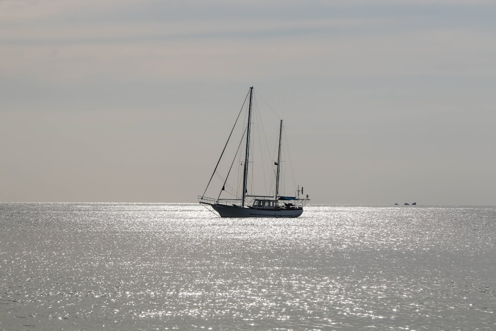 white and black boat on sea during daytime