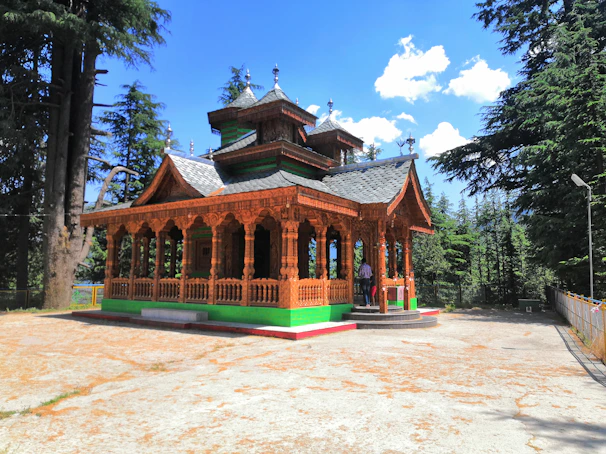 Group photo at Hadimba Temple surrounded by lush pine trees.