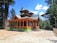 A traditional wooden temple with intricate carvings is surrounded by tall pine trees. The temple features a sloped roof and decorative elements on its exterior. Bright sunlight casts shadows on the stone pavement, while a few people are visible near the entrance.