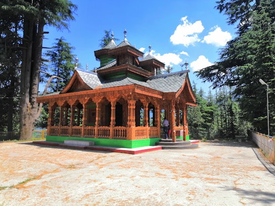 A traditional wooden temple with intricate carvings is surrounded by tall pine trees. The temple features a sloped roof and decorative elements on its exterior. Bright sunlight casts shadows on the stone pavement, while a few people are visible near the entrance.