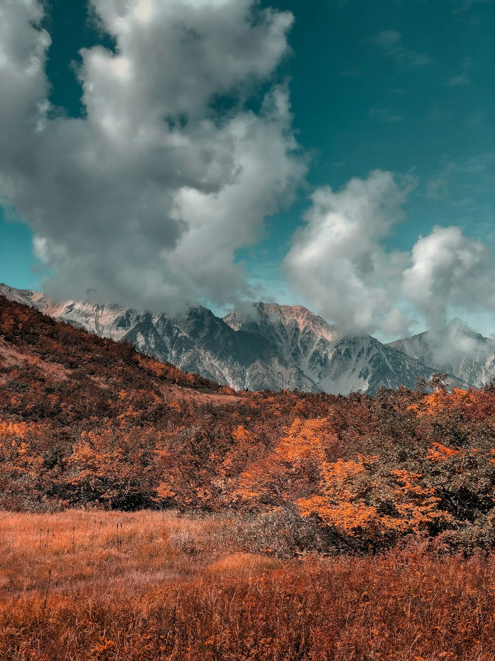 brown and green mountains under white clouds and blue sky during daytime