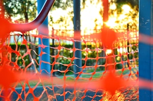 Bird Net Installation