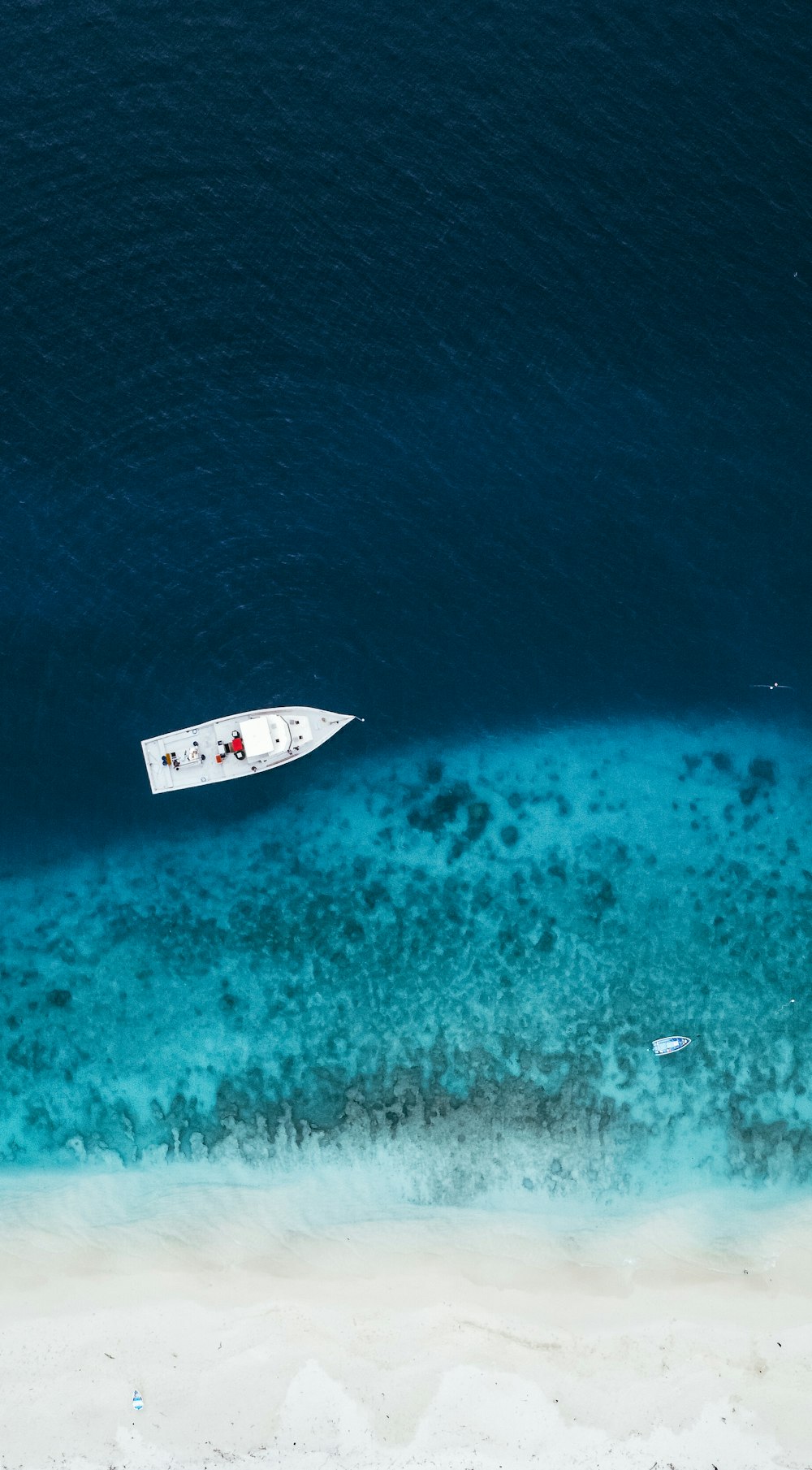 white and blue boat on body of water during daytime