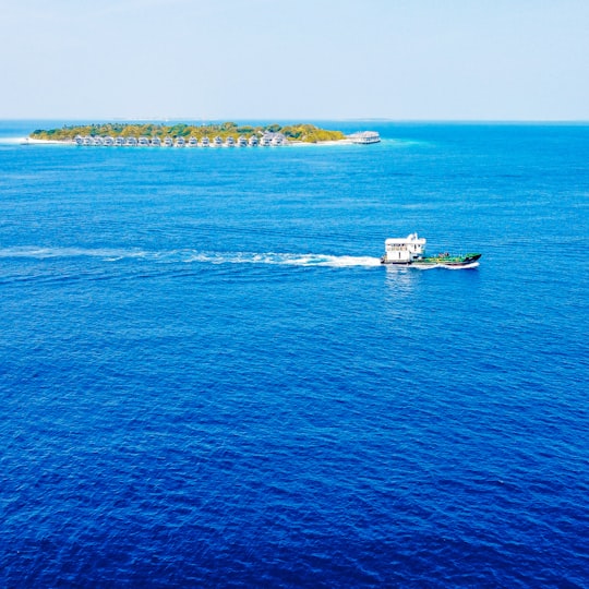 white and black boat on blue sea during daytime in Muraidhoo Maldives