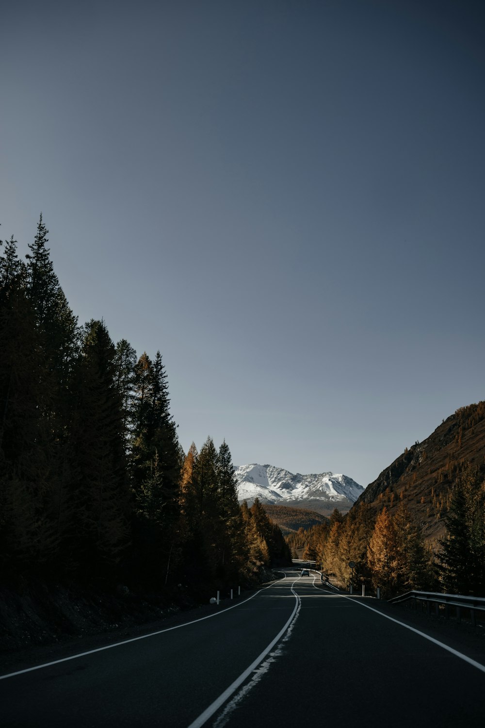 green pine trees near mountain during daytime