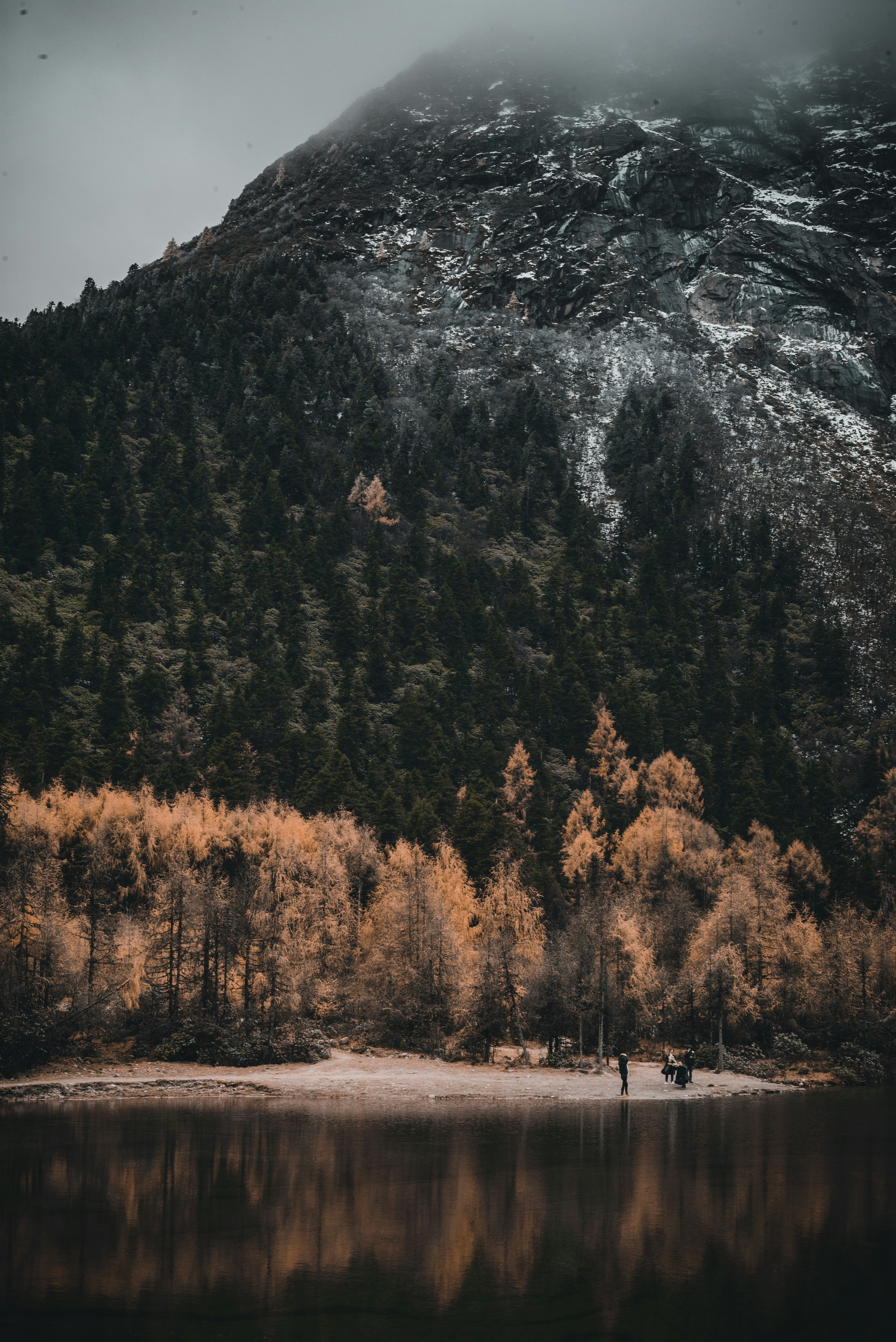 The Giant Panda Experience