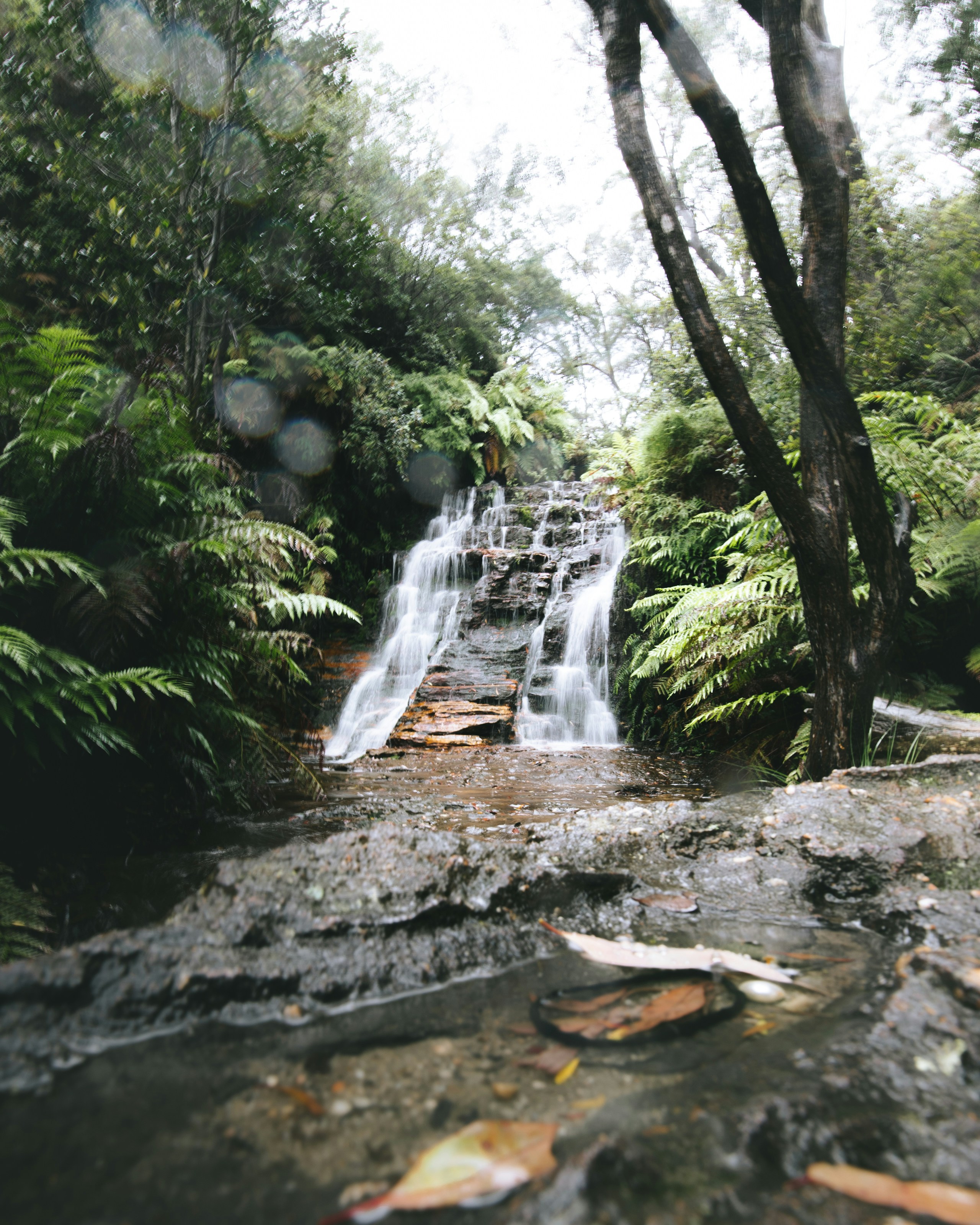 Photo by ldxcreative