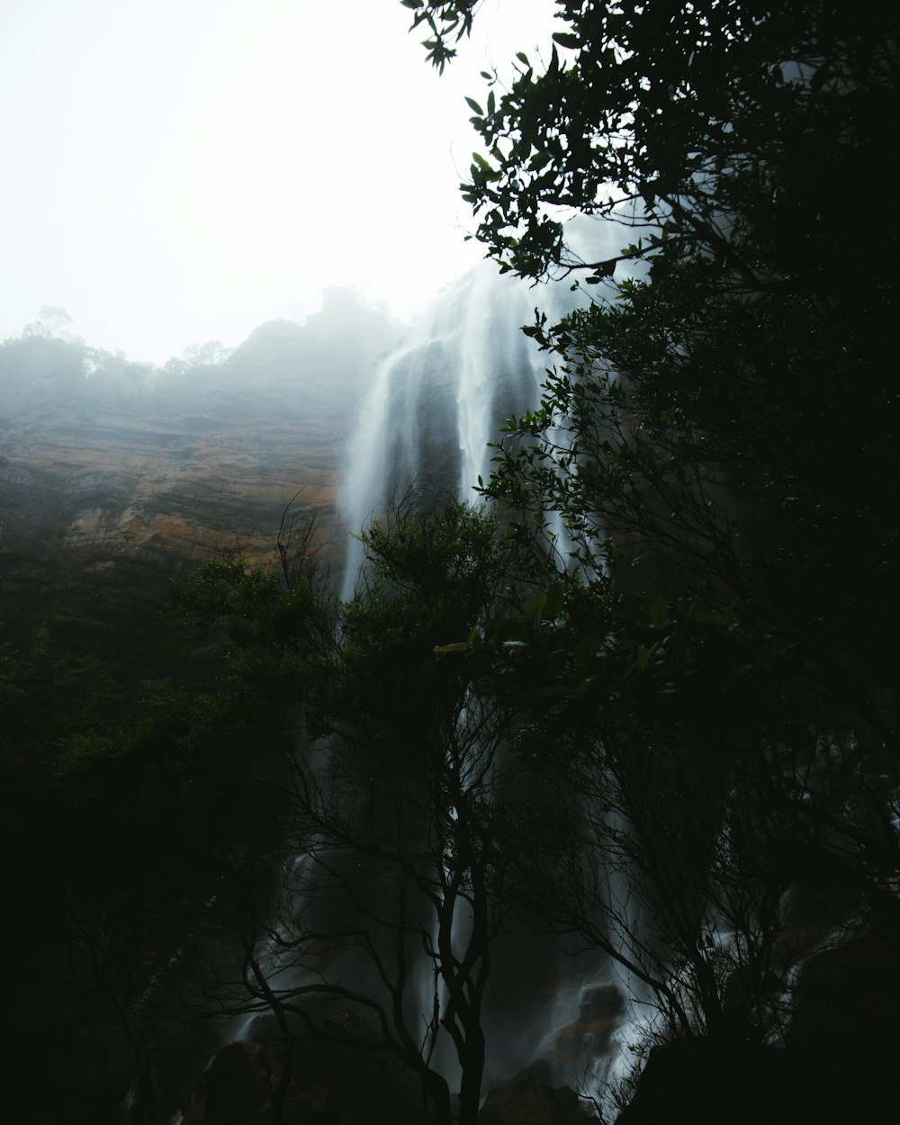 green trees on mountain during daytime