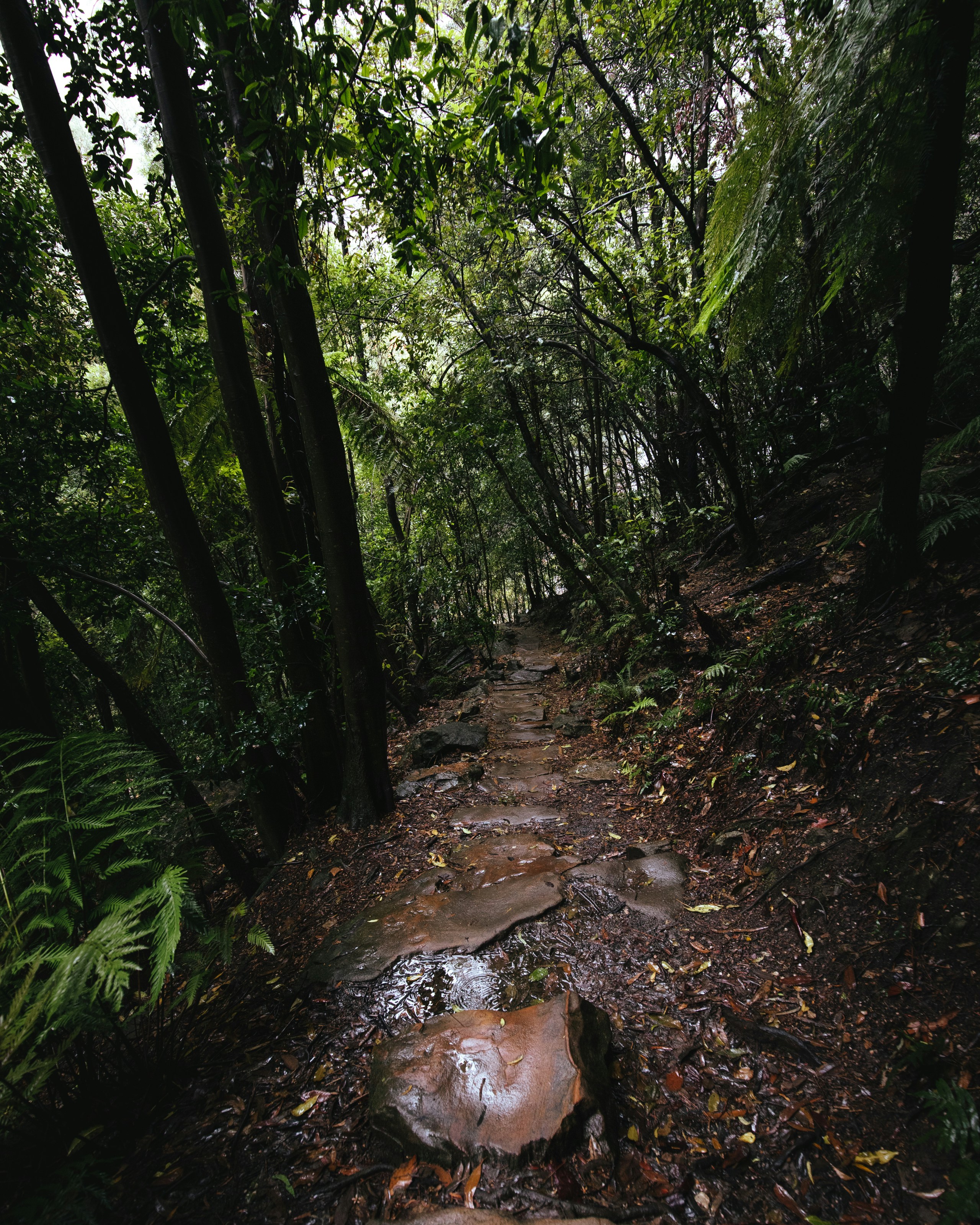 Photo by ldxcreative