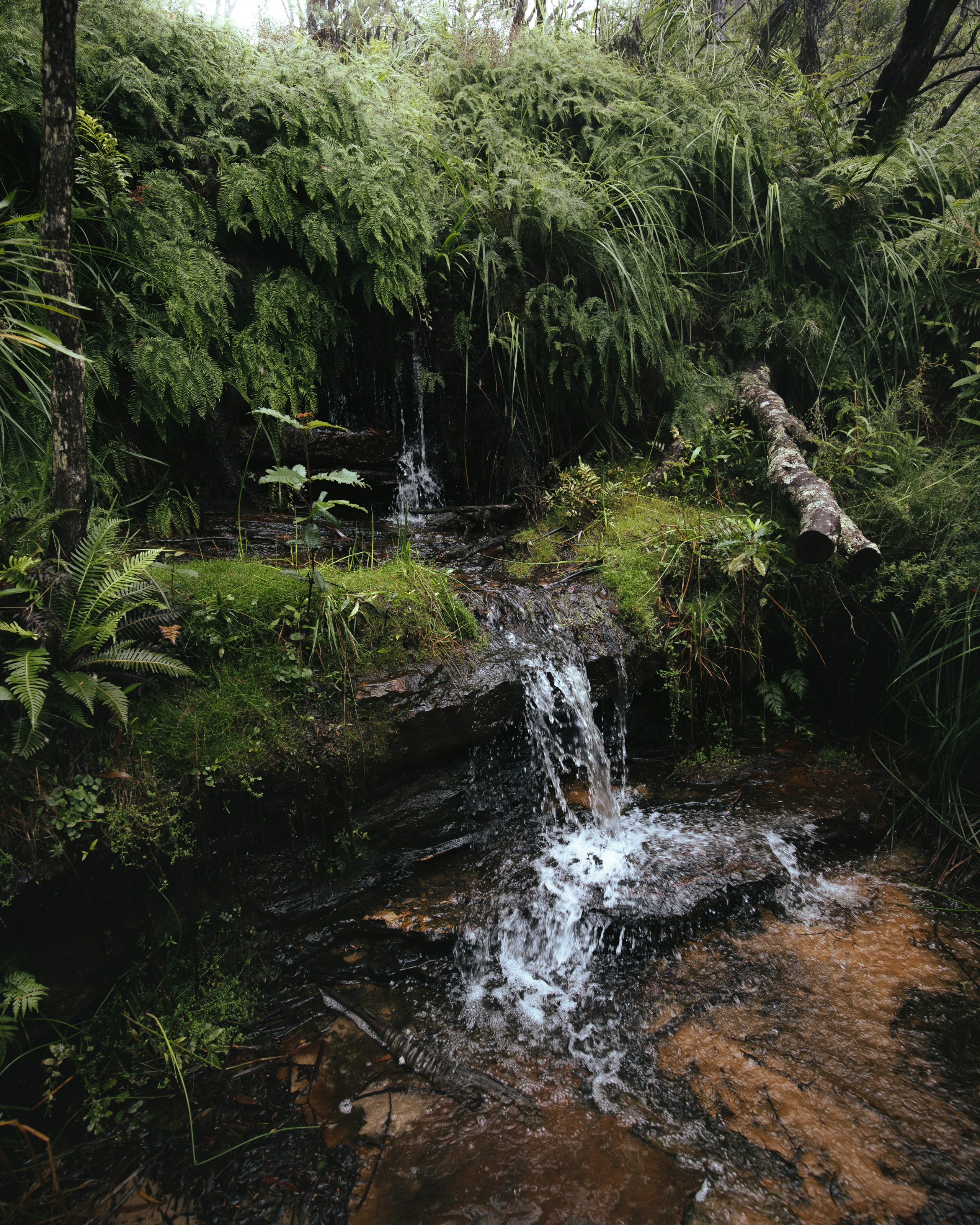 Photo by ldxcreative