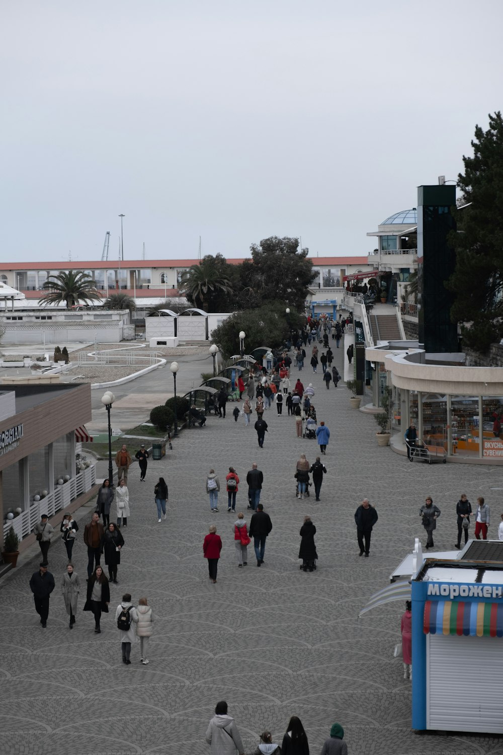 persone che camminano per strada durante il giorno