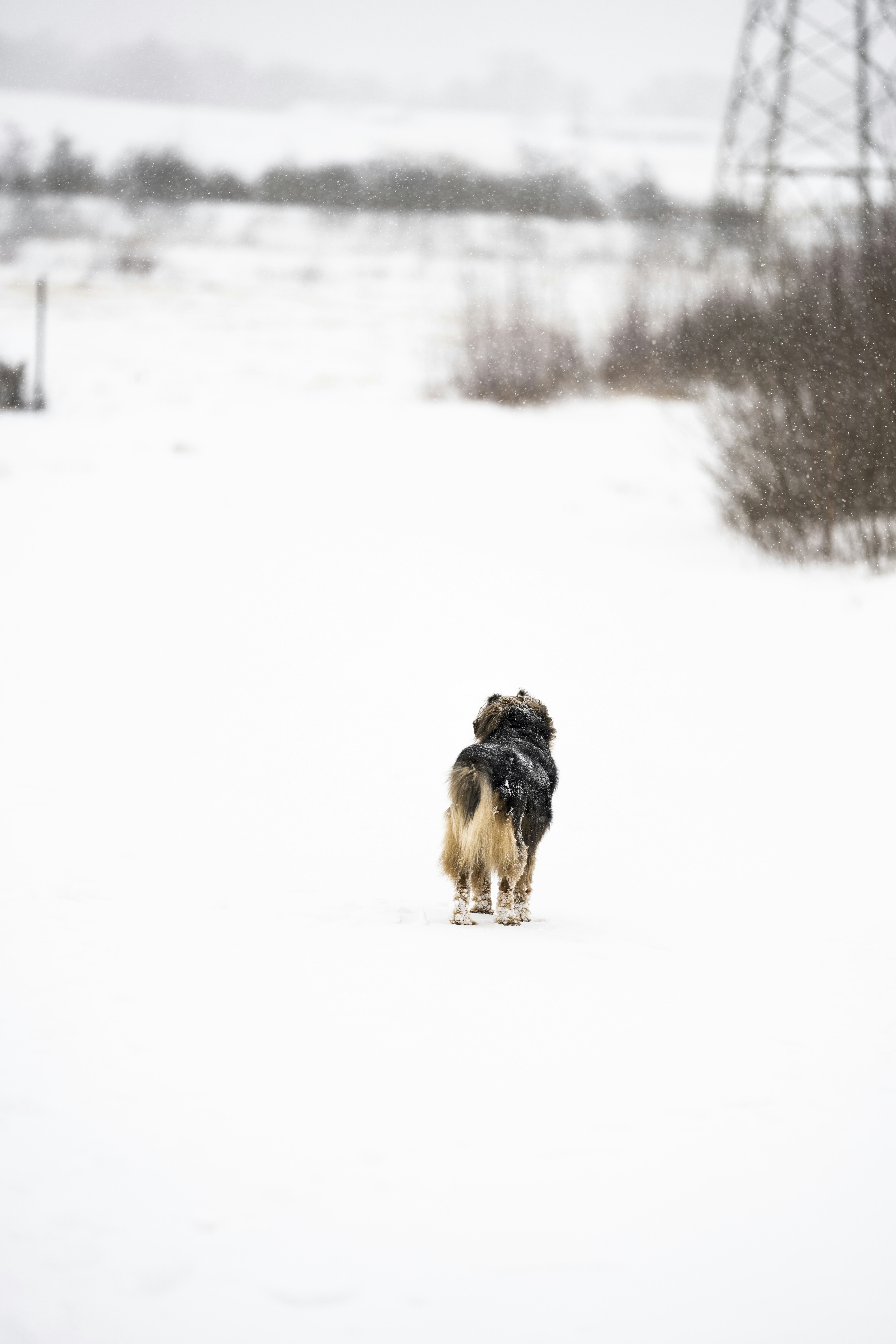 Photo by omarvellous14