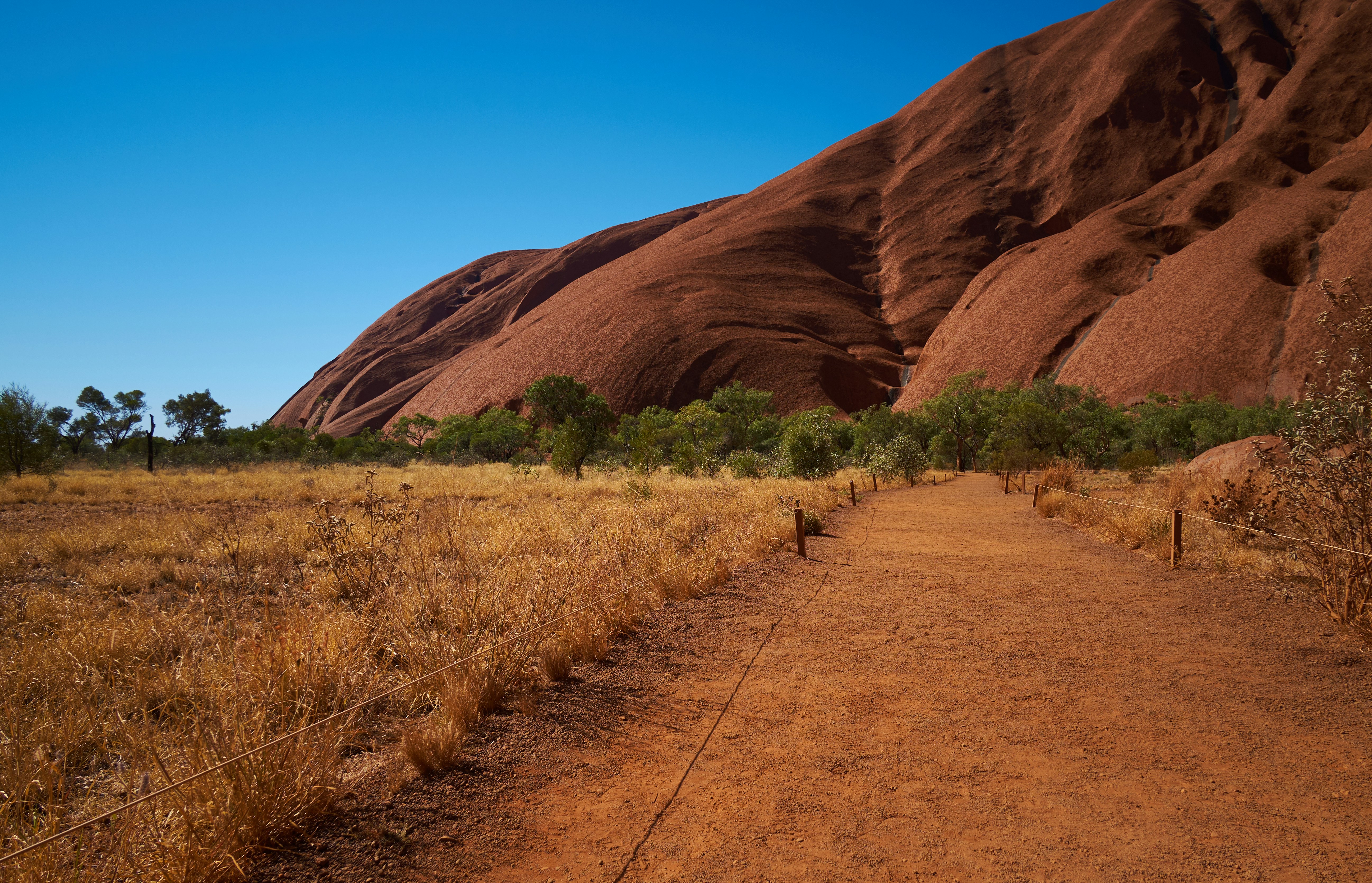 brown dirt road between brown grass field during daytime