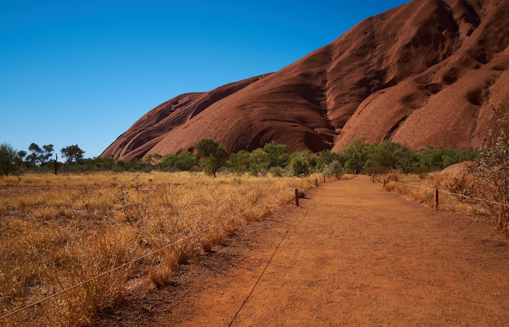 brown dirt road between brown grass field during daytime