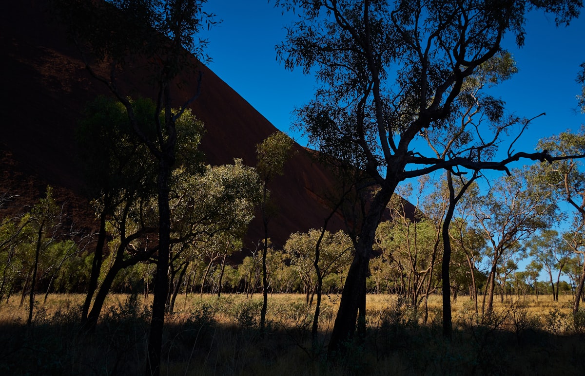 Australian landscape with visionary leadership and Indigenous art patterns