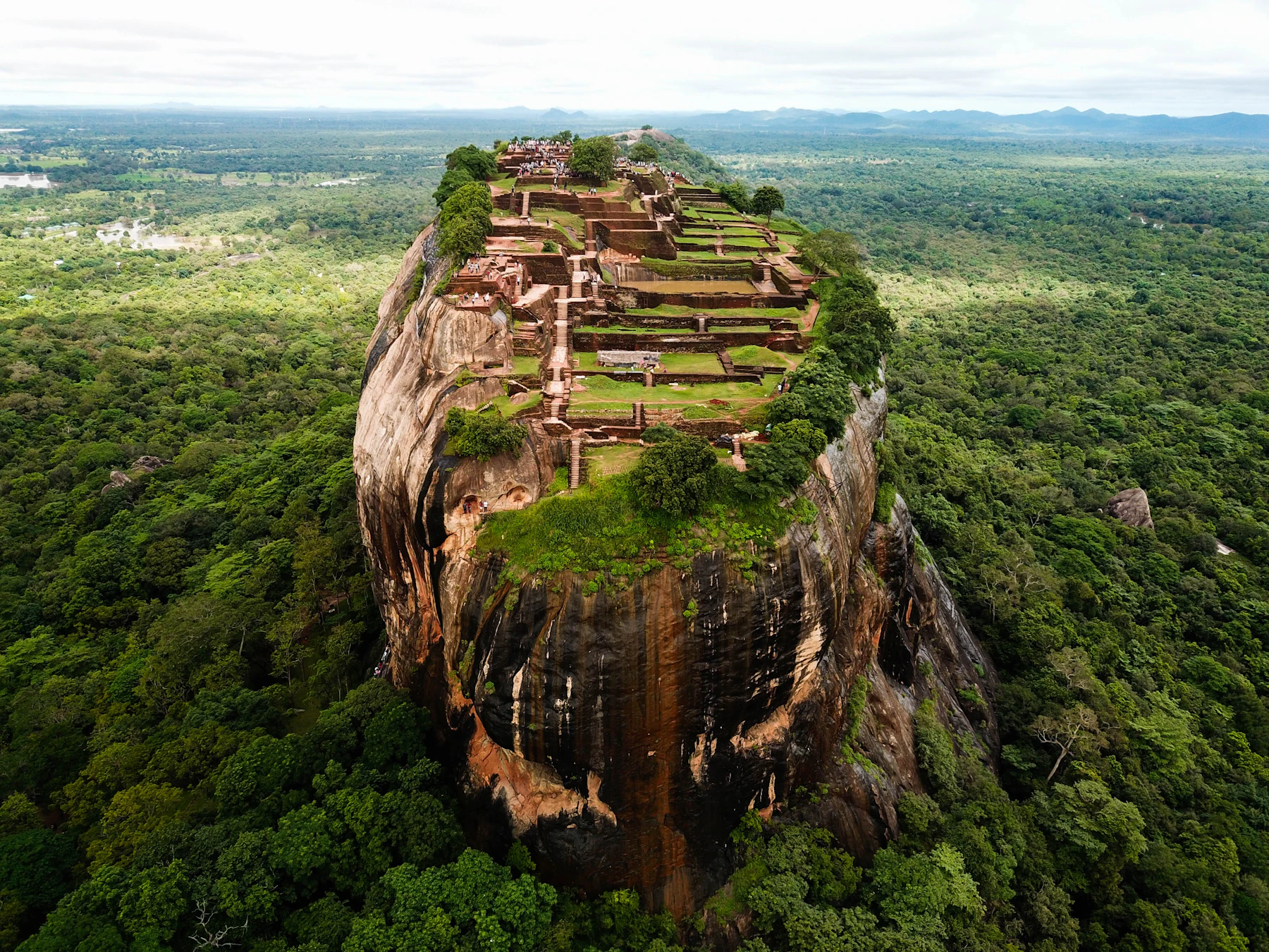 Sigiriya rock fortress rising above the forest