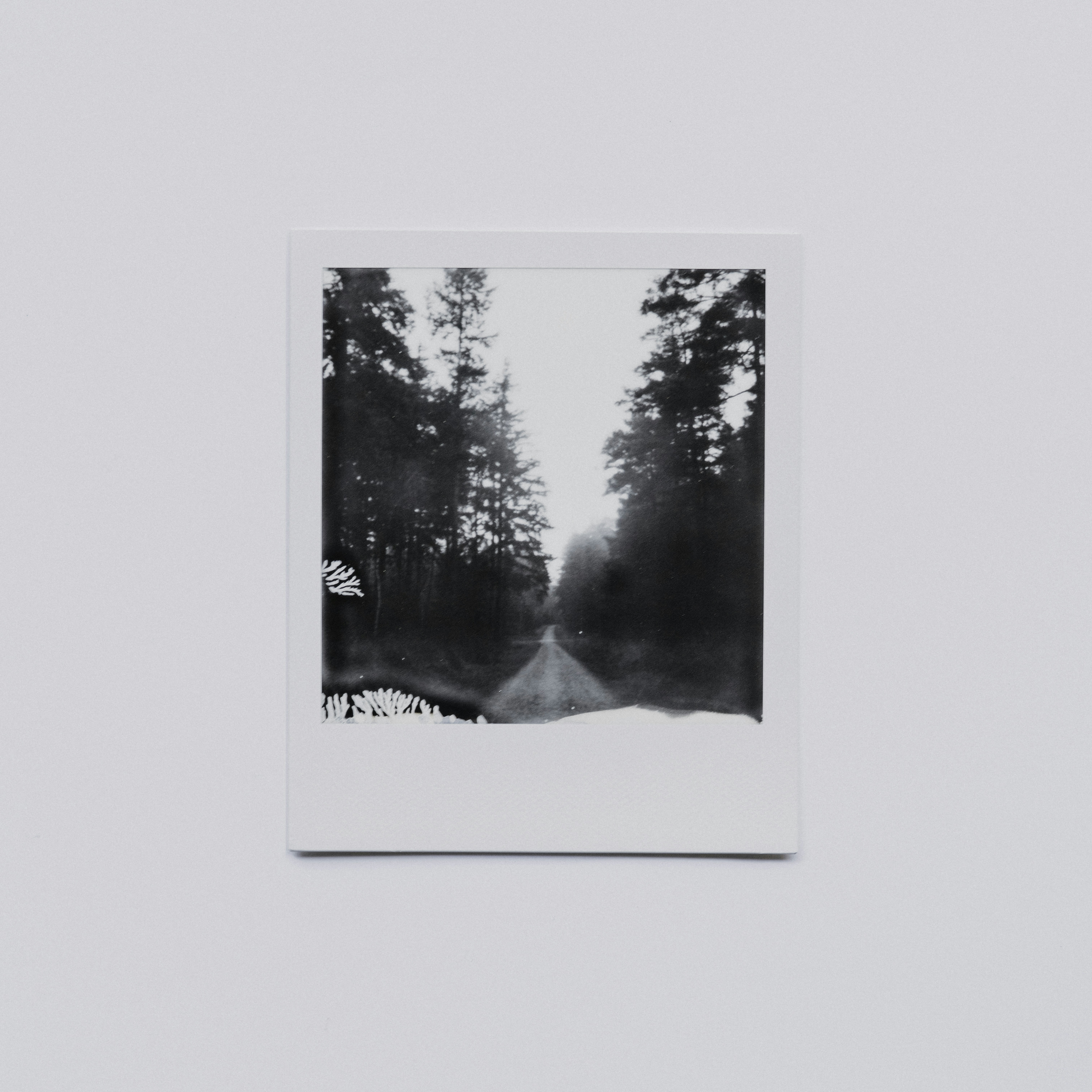 Photo by anniespratt