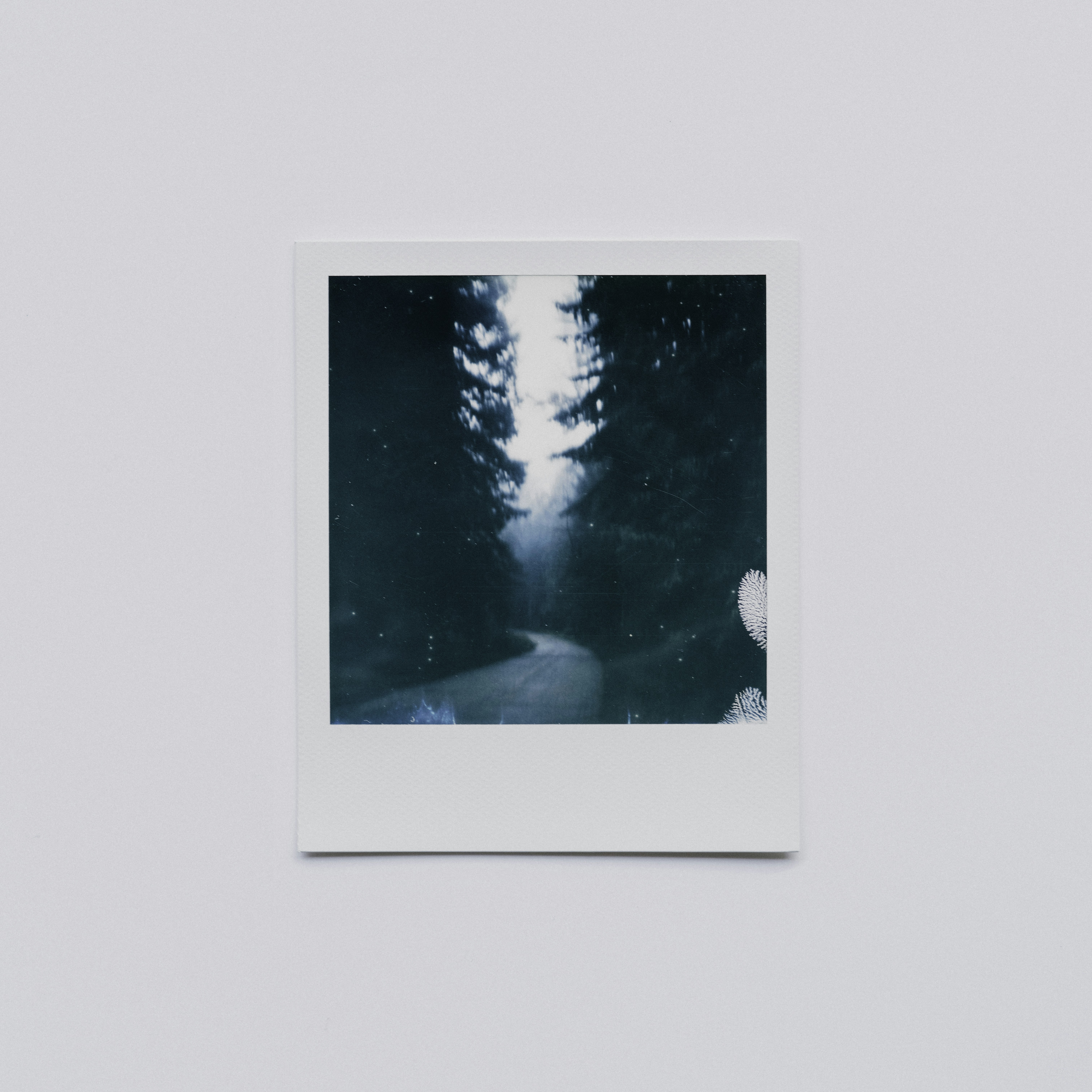 Photo by anniespratt