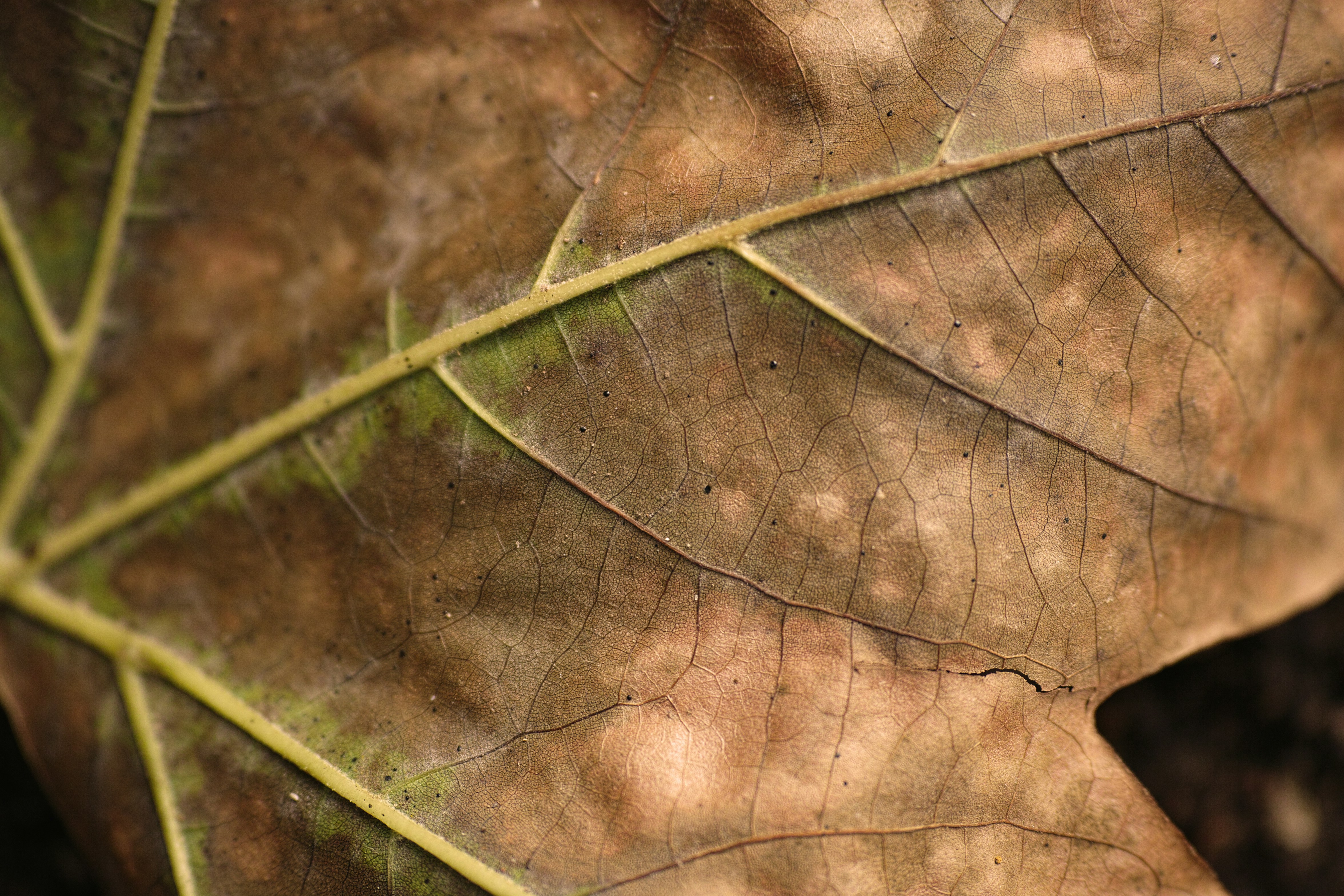 Photo by enginakyurt