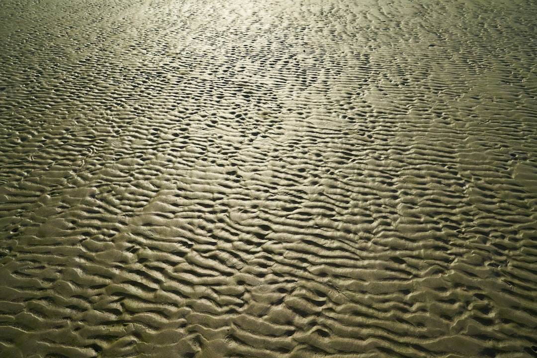 white sand with green grass