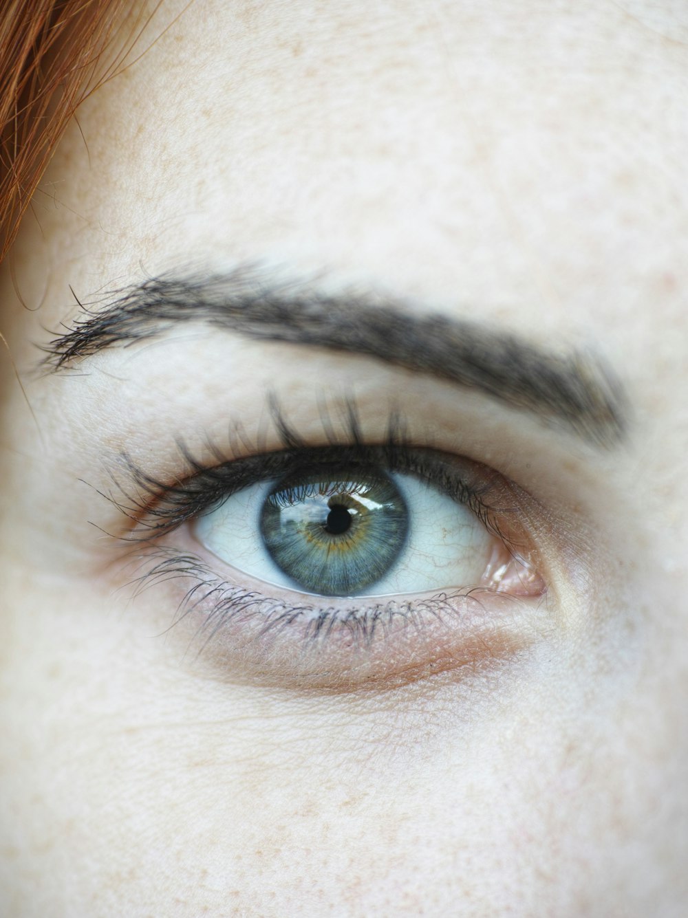 persons blue eyes in close up photography