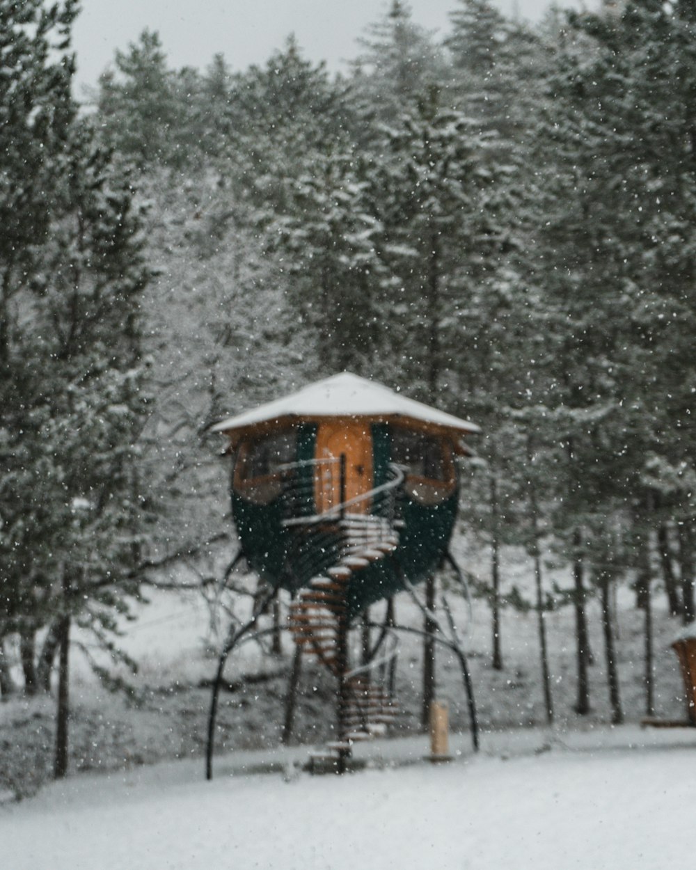 brown wooden hanging bird house surrounded by trees during daytime