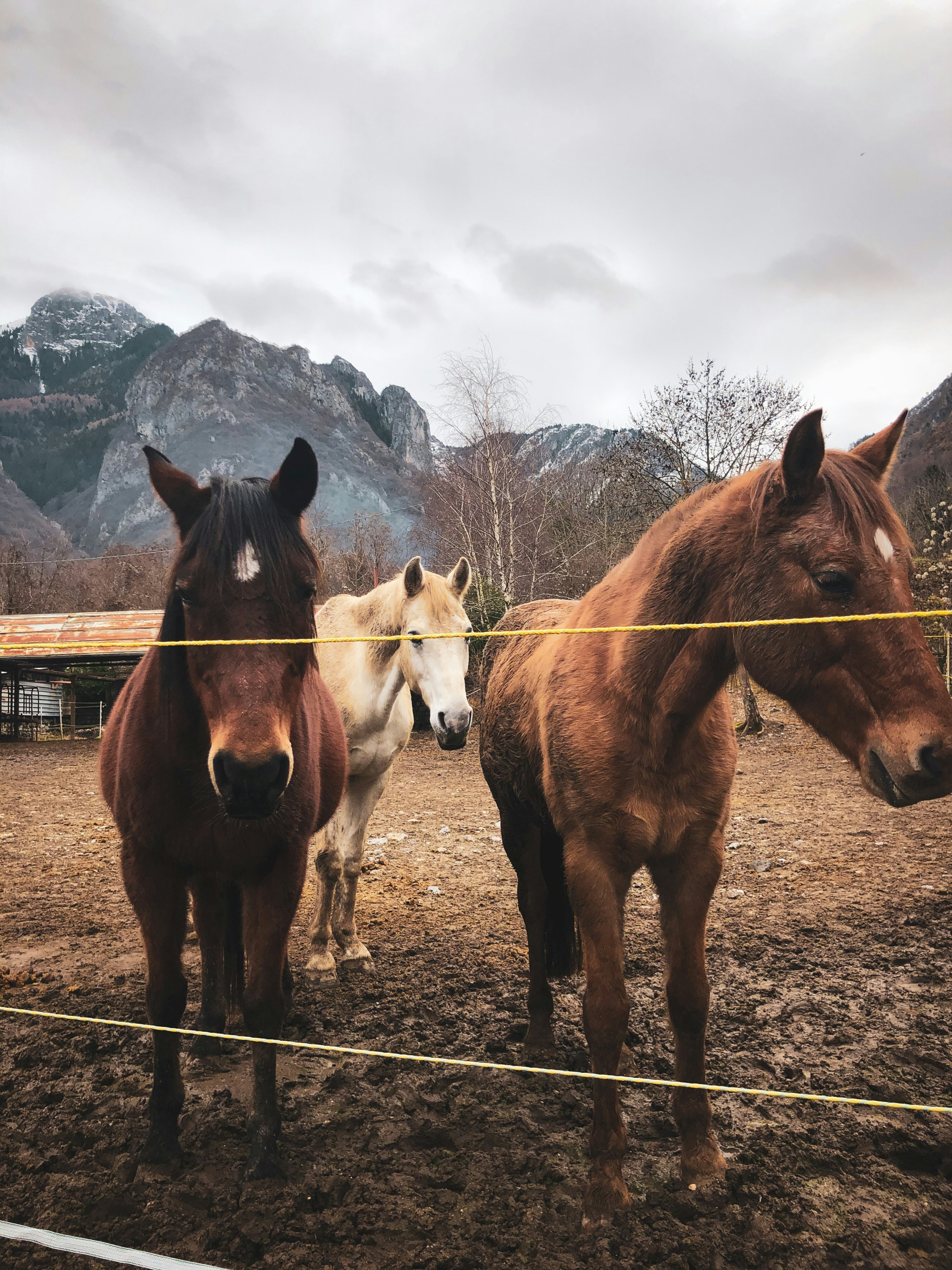 Photo by _alinapinotti_