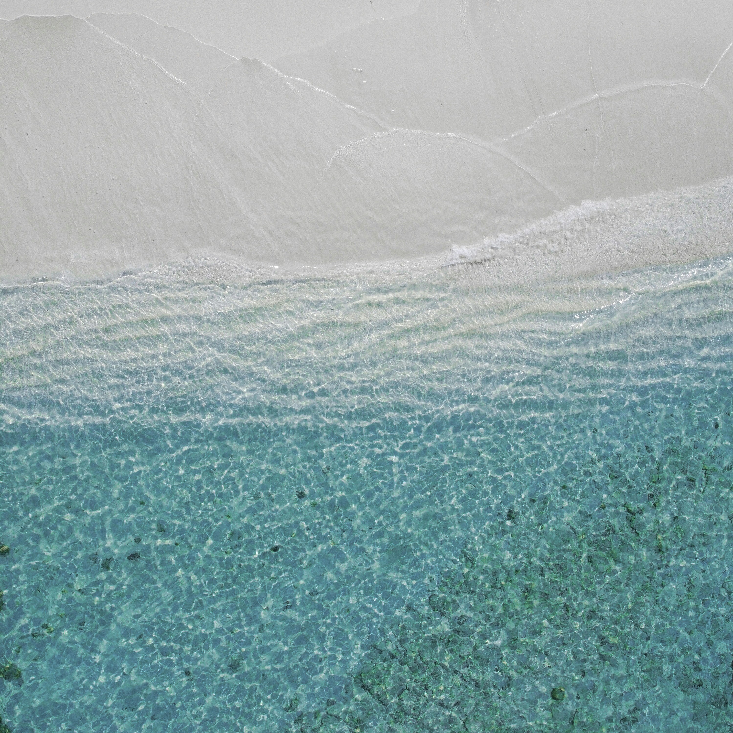 Photo by aleefasee