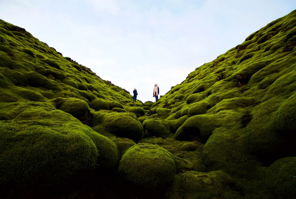 people walking on green grass field during daytime